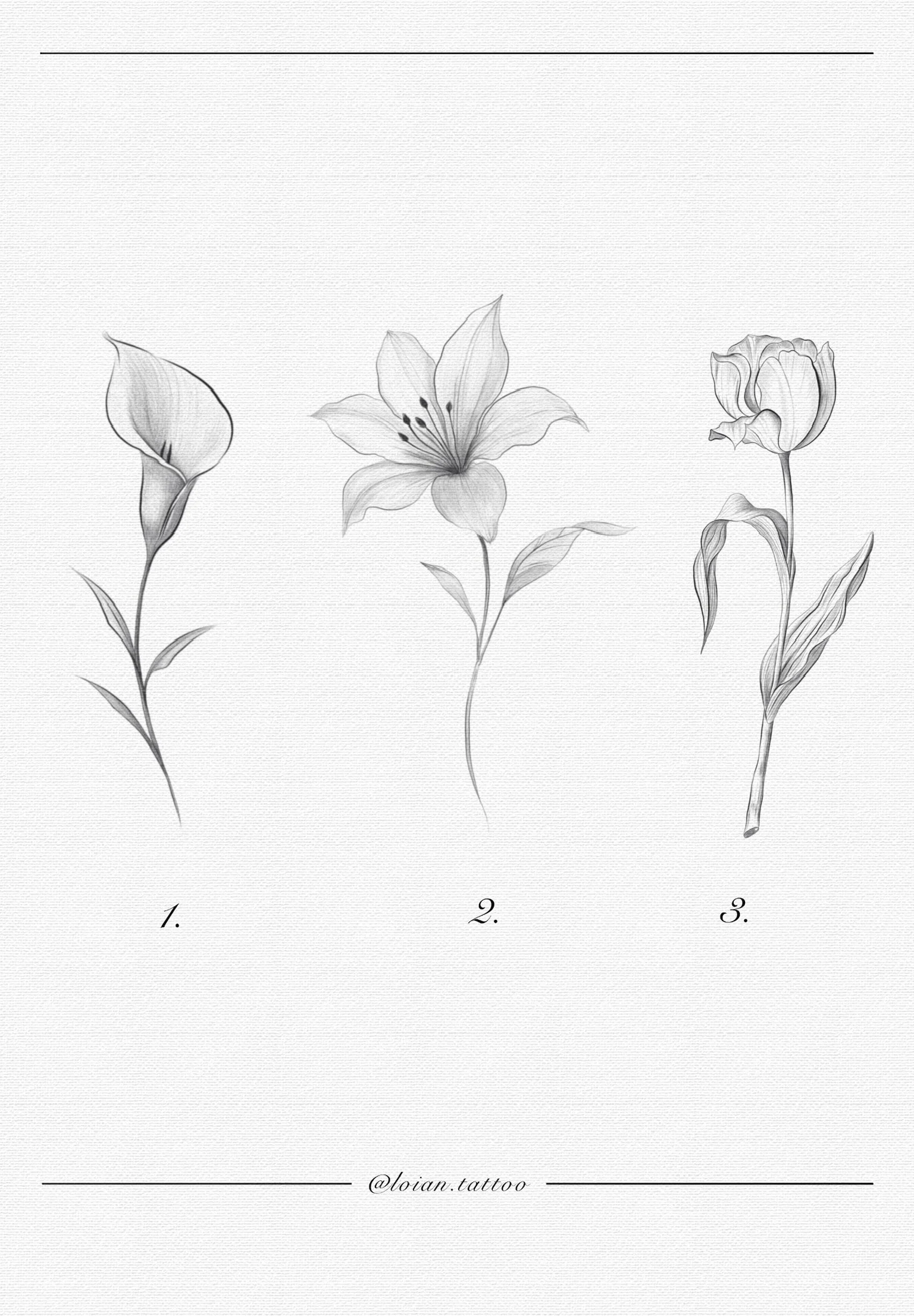 Sketch of three different flowers labeled 1, 2, and 3, with detailed shading and leaf structures.