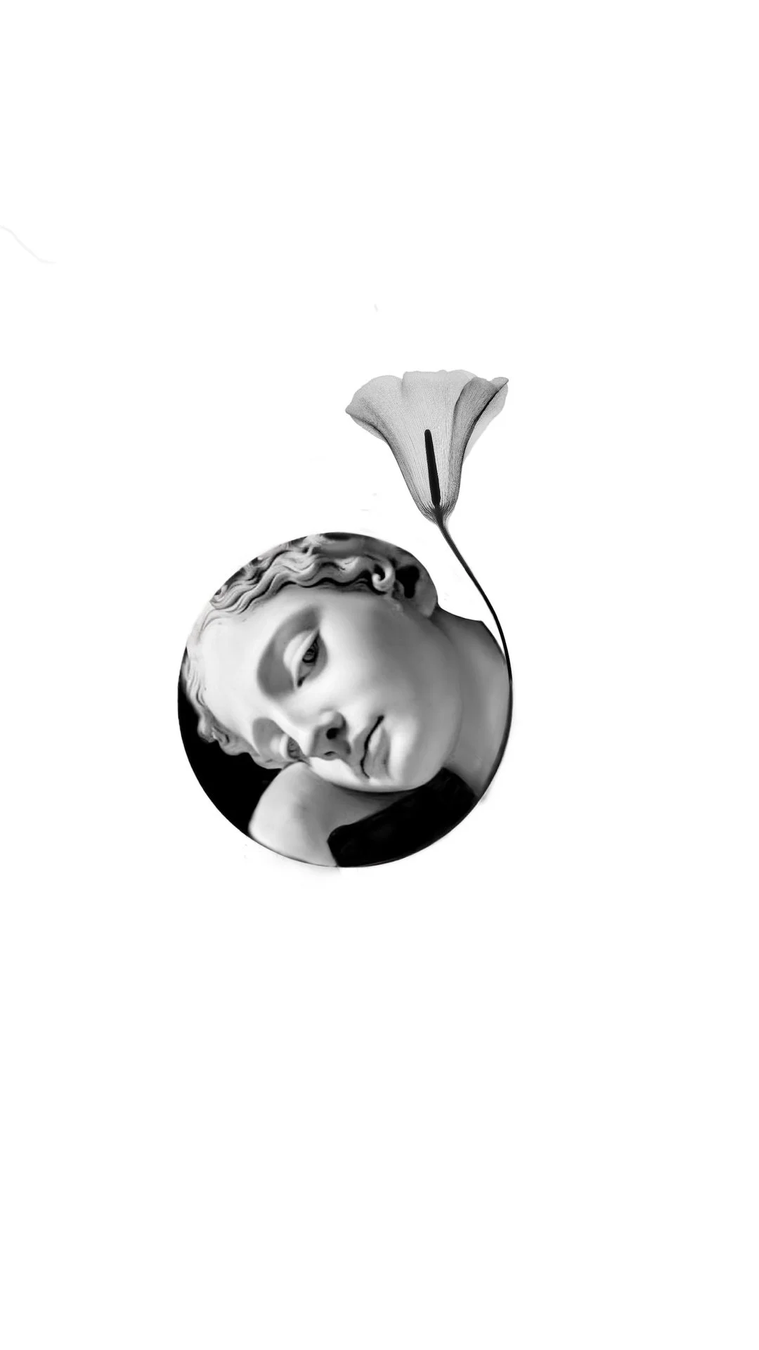 Black and white photo of a woman with short curly hair resting her head on her hand, with a ginkgo leaf hanging above her head.