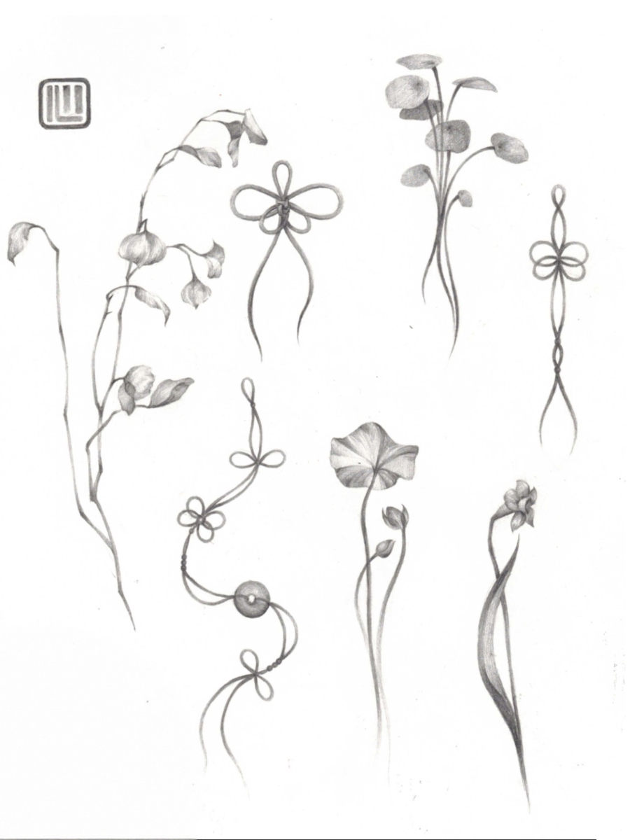 Sketch of various delicate flowers and floral designs, some with leaves and stems, drawn in pencil.