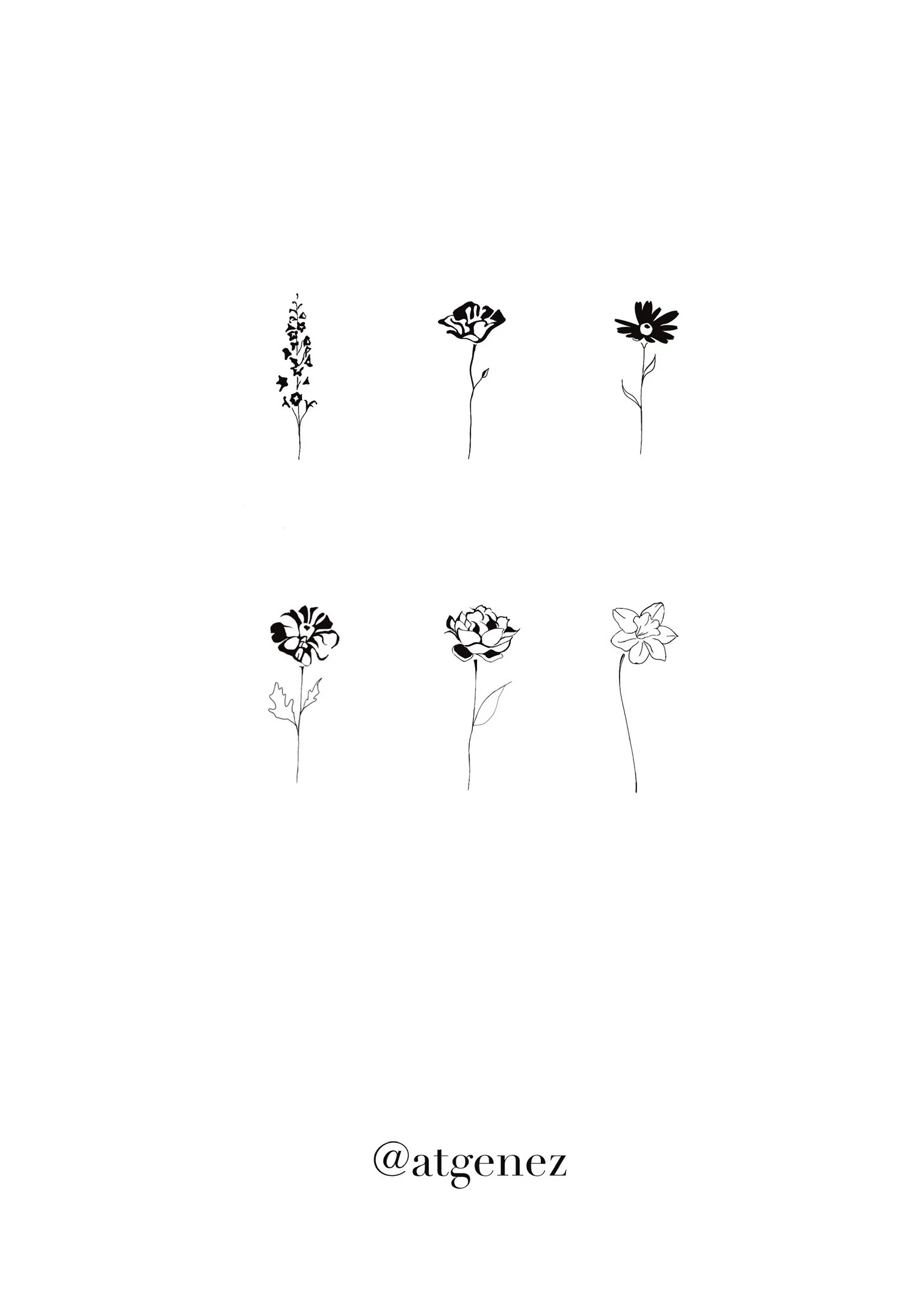 Six minimalistic black and white flower illustrations arranged in two rows with three flowers each, and the social media handle '@atgenes' at the bottom.