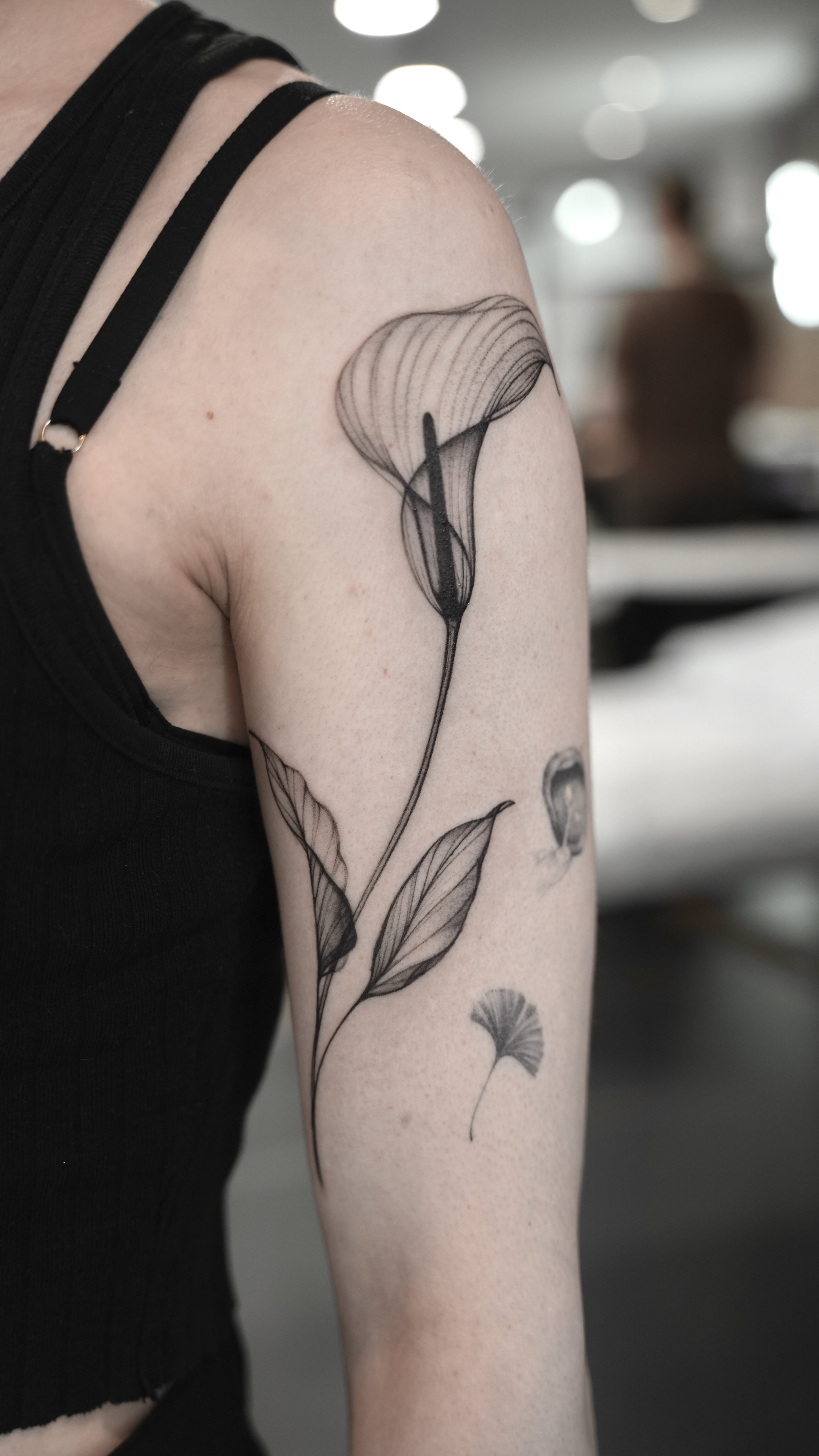 DSC09942.jpeg