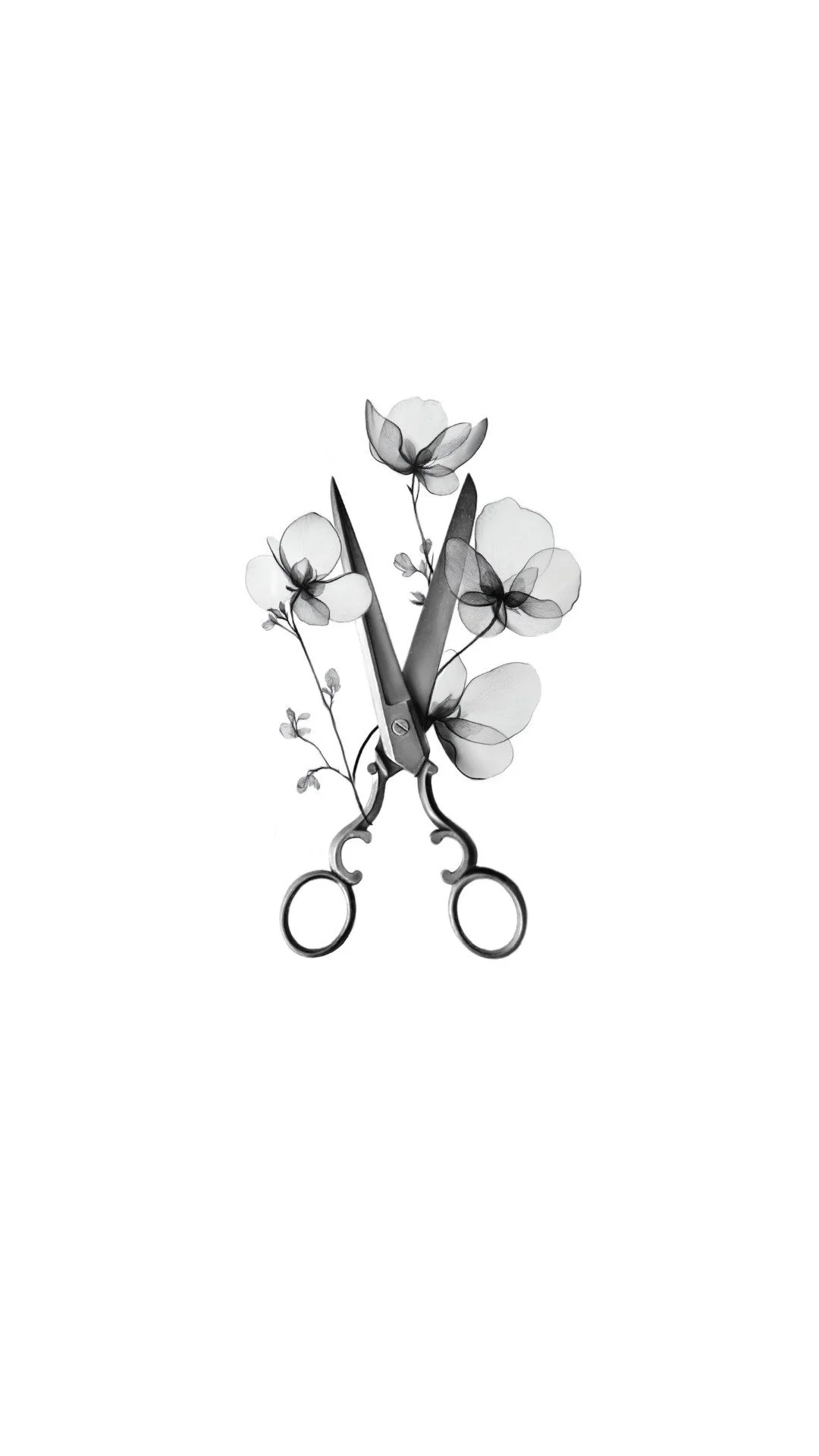 Black and white photo of scissors with a branch of flowers intertwined.