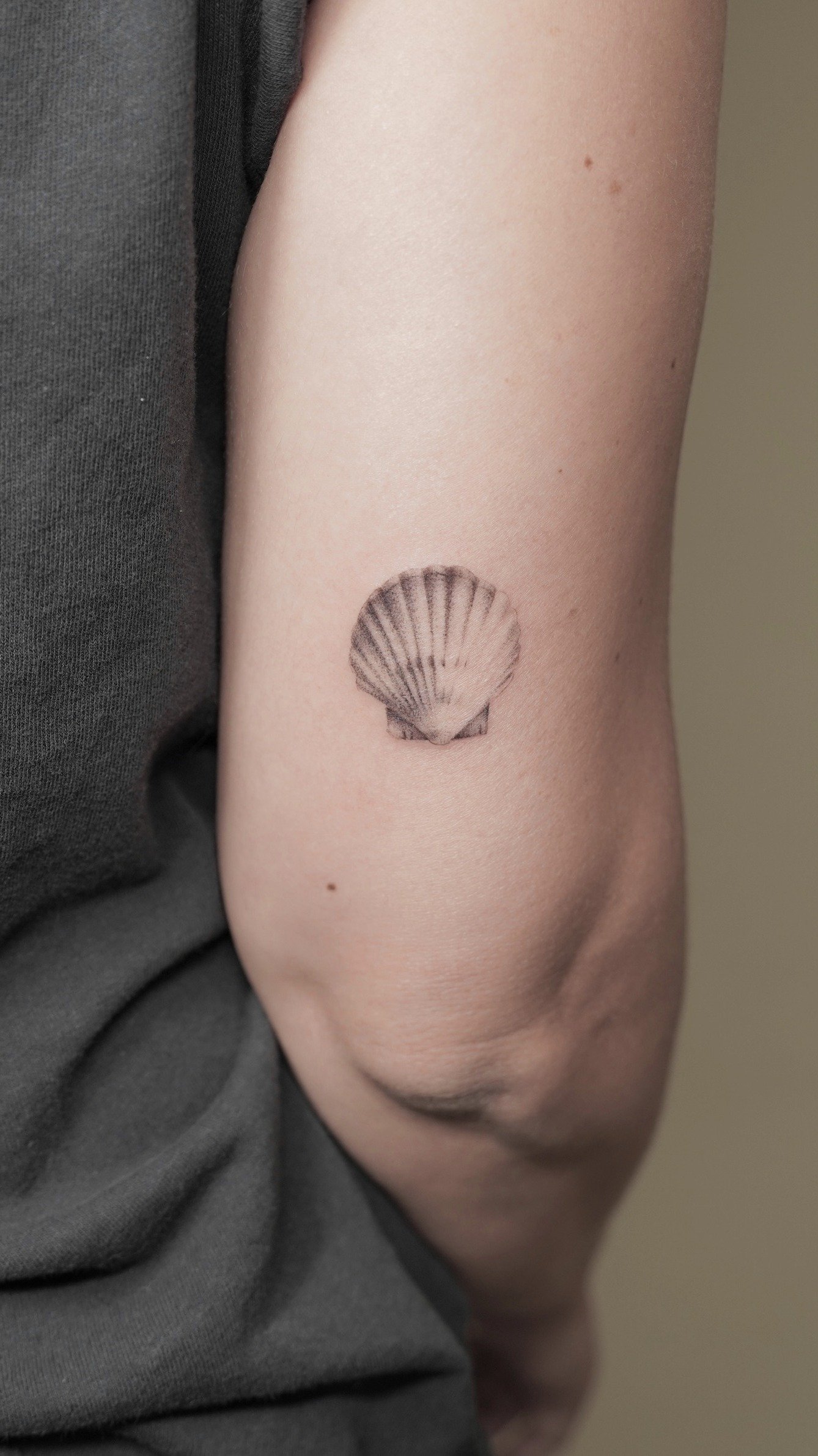 Tattoo of a seashell on a person's upper arm.