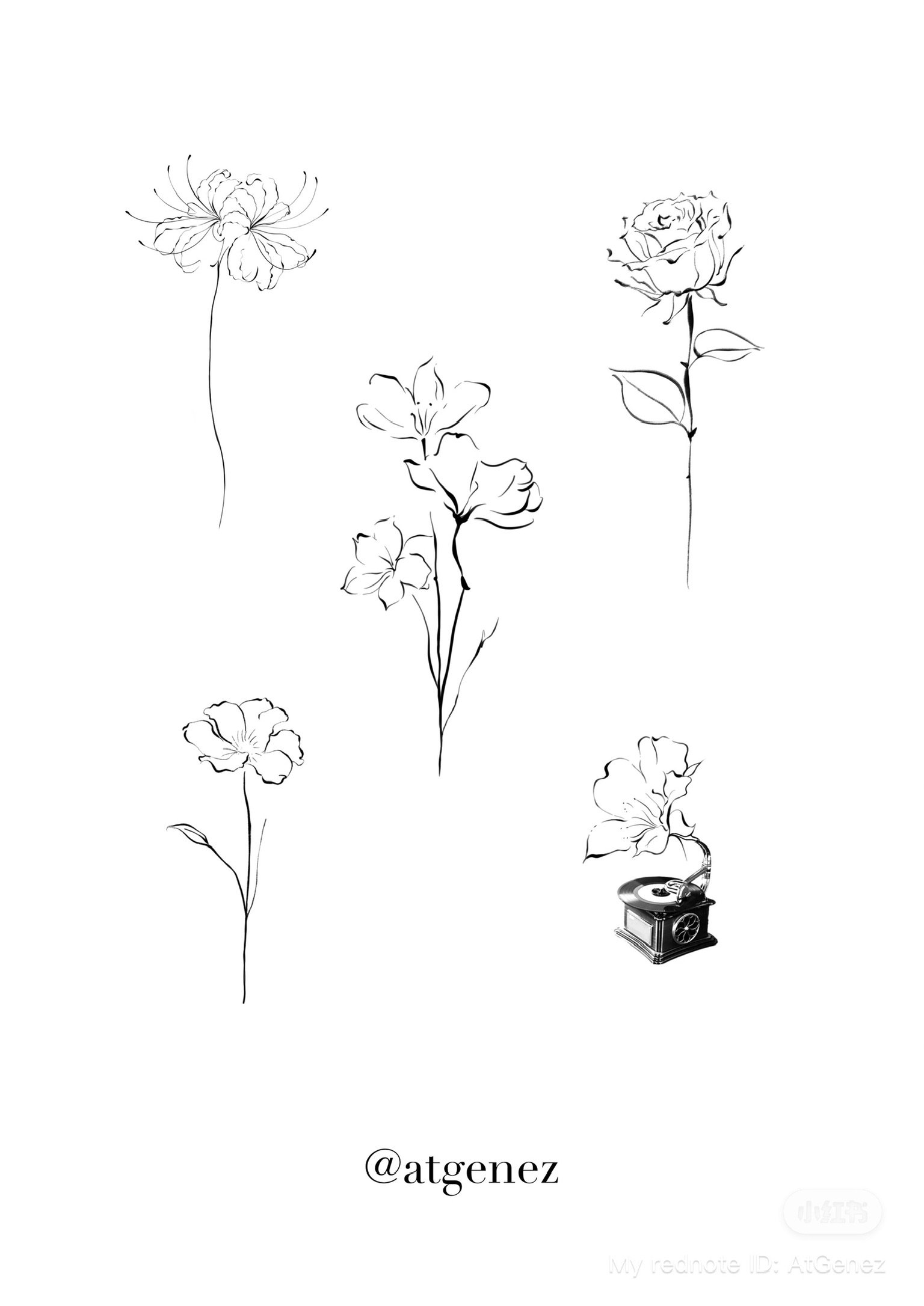 Line art drawing of various flowers and a vintage record player, with the text '@atgenz' at the bottom.