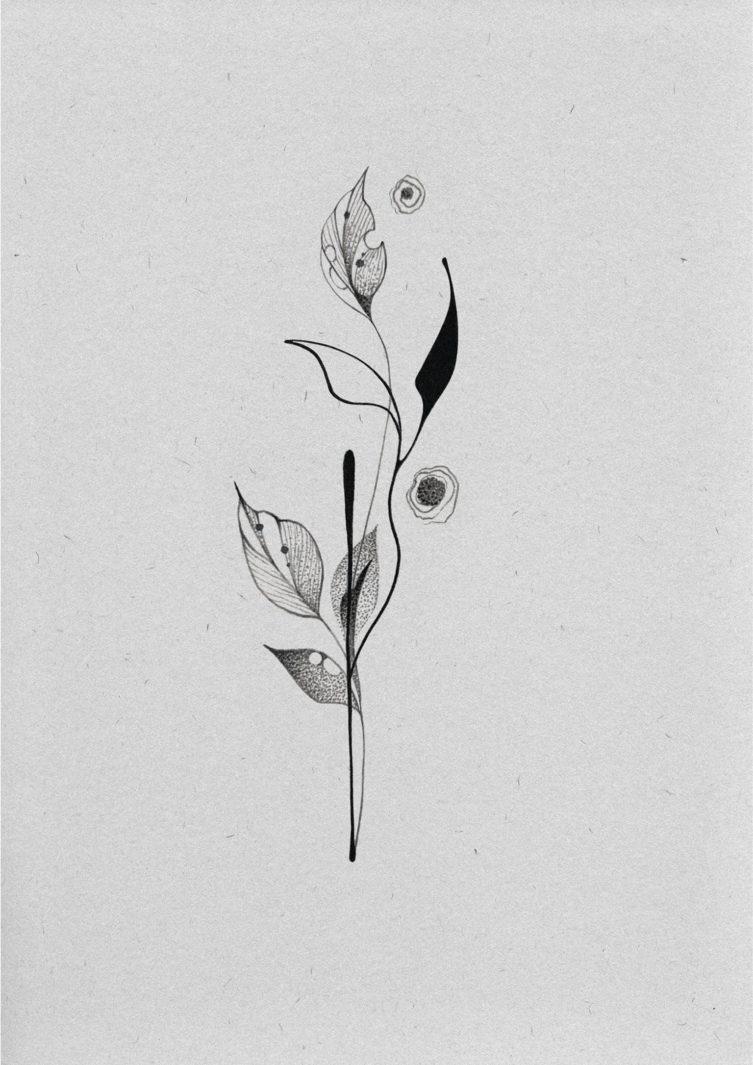 A minimalist black and white line drawing of a flower with leaves and two smaller flowers on a plain background.