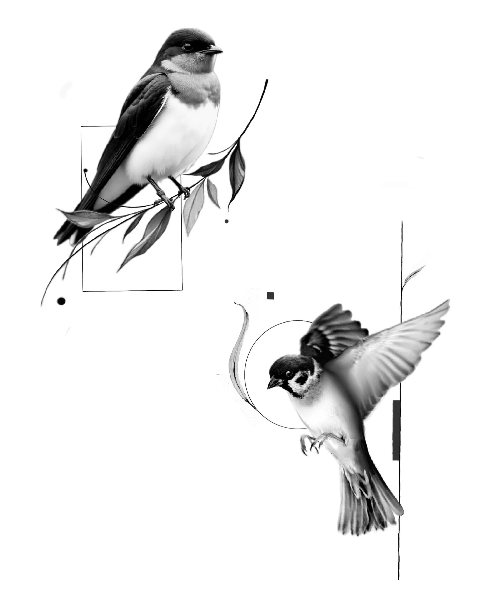Black and white illustration of two birds, one perched on a branch with leaves and the other in flight, with geometric shapes and lines in the background.
