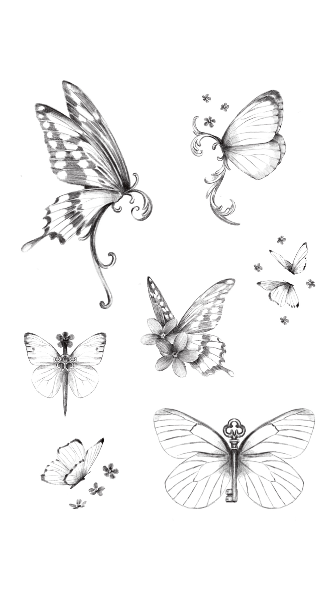 decorative-butterfly-fine-line-tattoo-flash.png