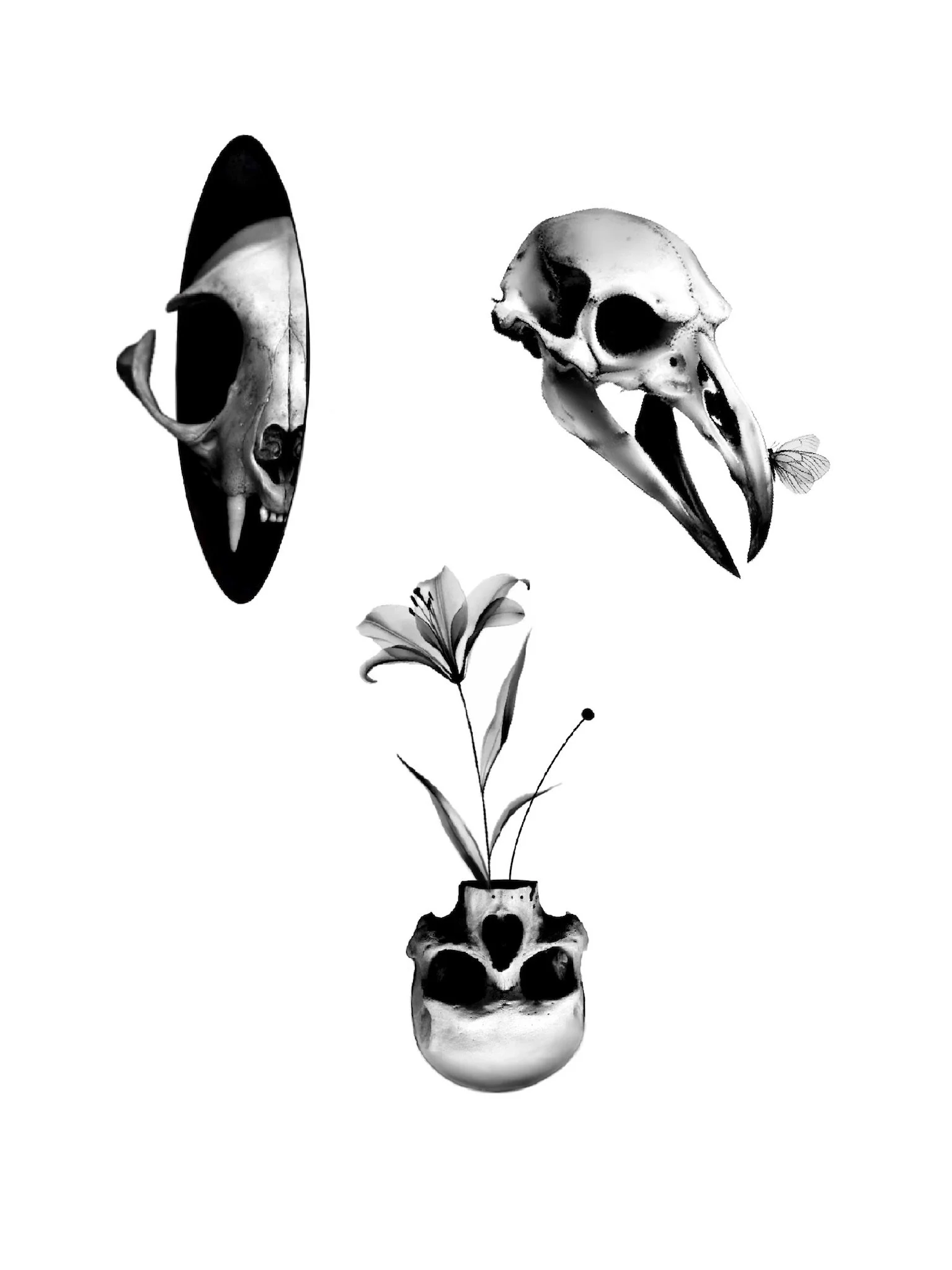 Black and white digital art composition featuring three skulls and a flower in a skull-shaped vase.