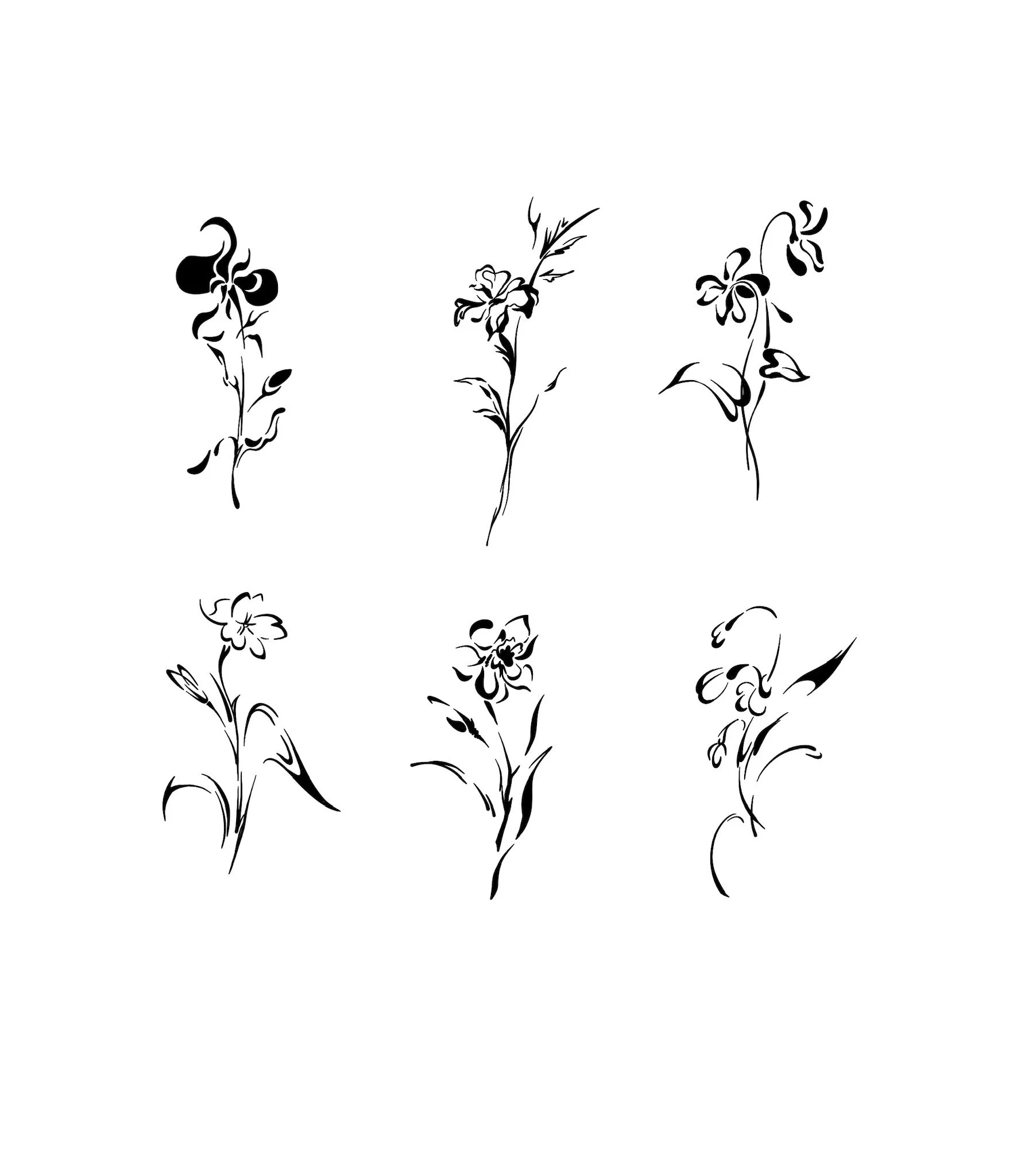 Six black ink floral line drawings arranged in two rows of three on a white background.