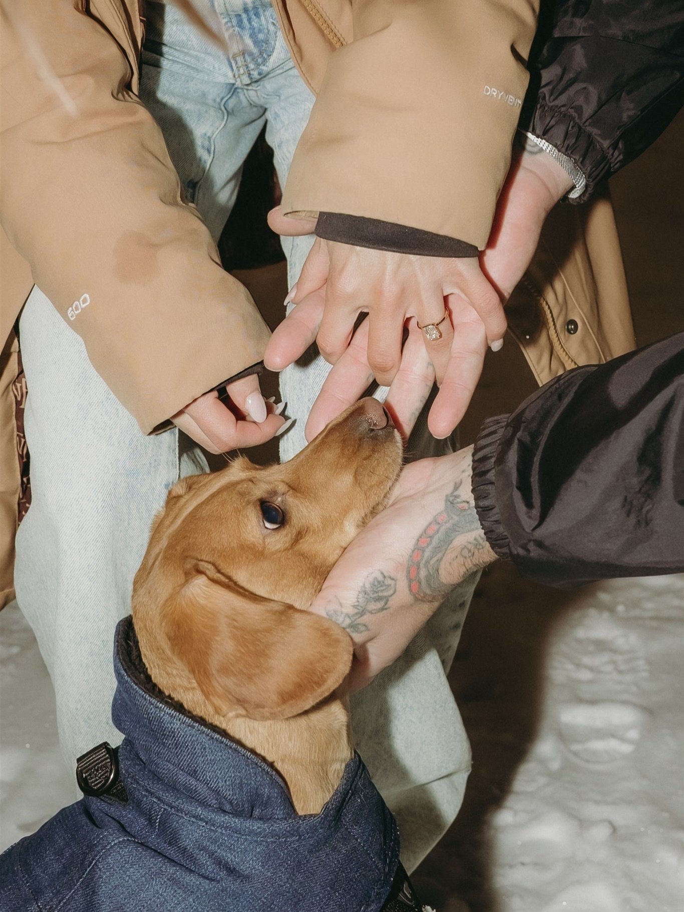 2025 was a year of capturing the sweetest proposals! This was my last one of the year and I loved how Jake included their dog- with the ring zipped into his jean jacket 🥹

#engagement #dogengagement #weddinginspo #minneapolisweddingphotographer #eng