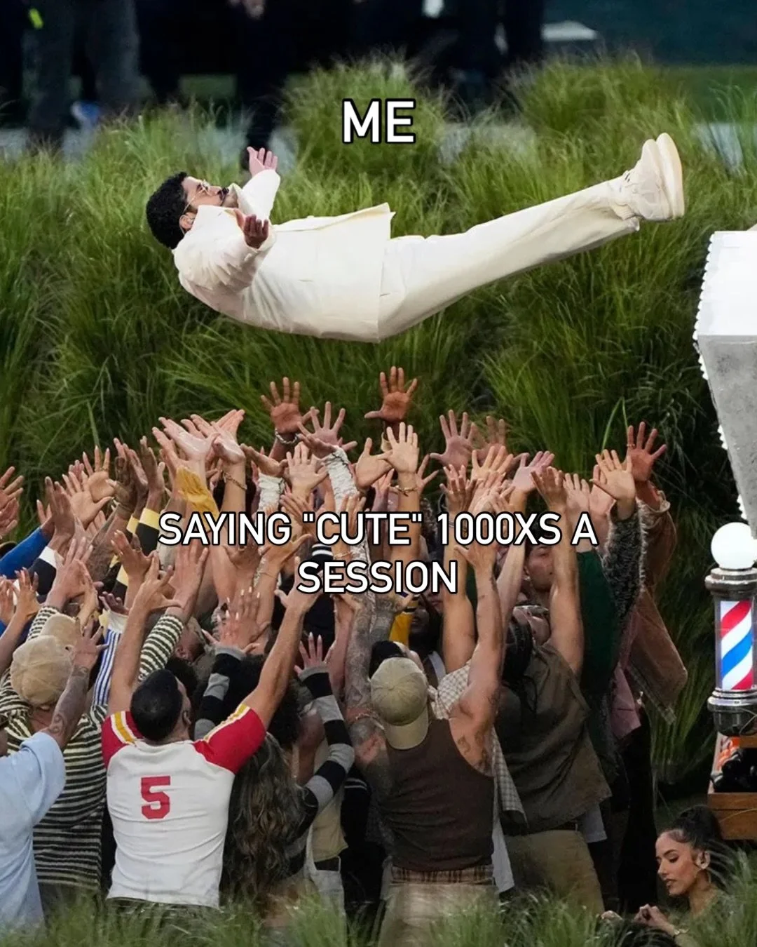 Where my other photographers at who feel this? 😂

#photographermemes #photographer #weddingphotographer #superbowlmemes #badbunnymemes