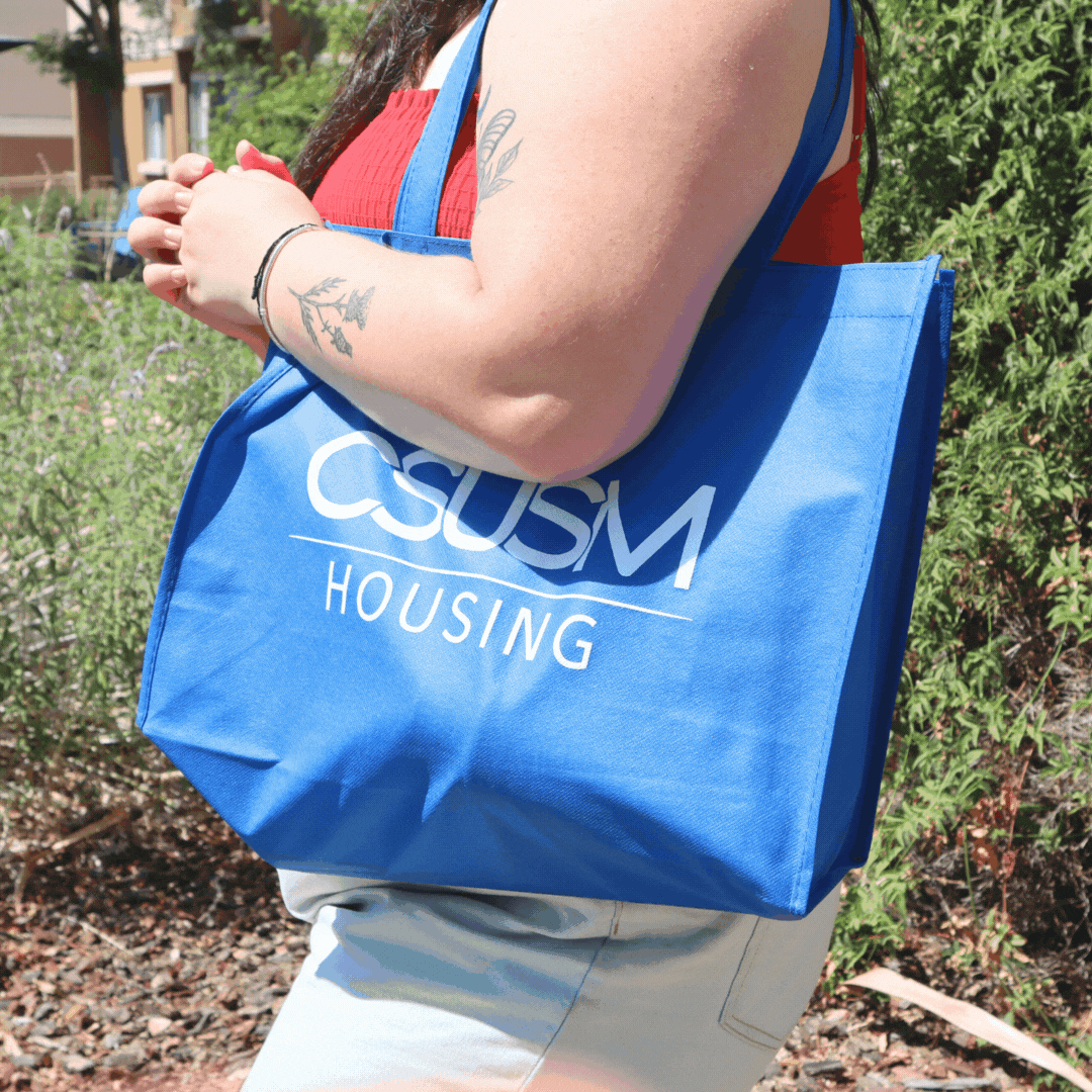 Tote Bag Instagram Post