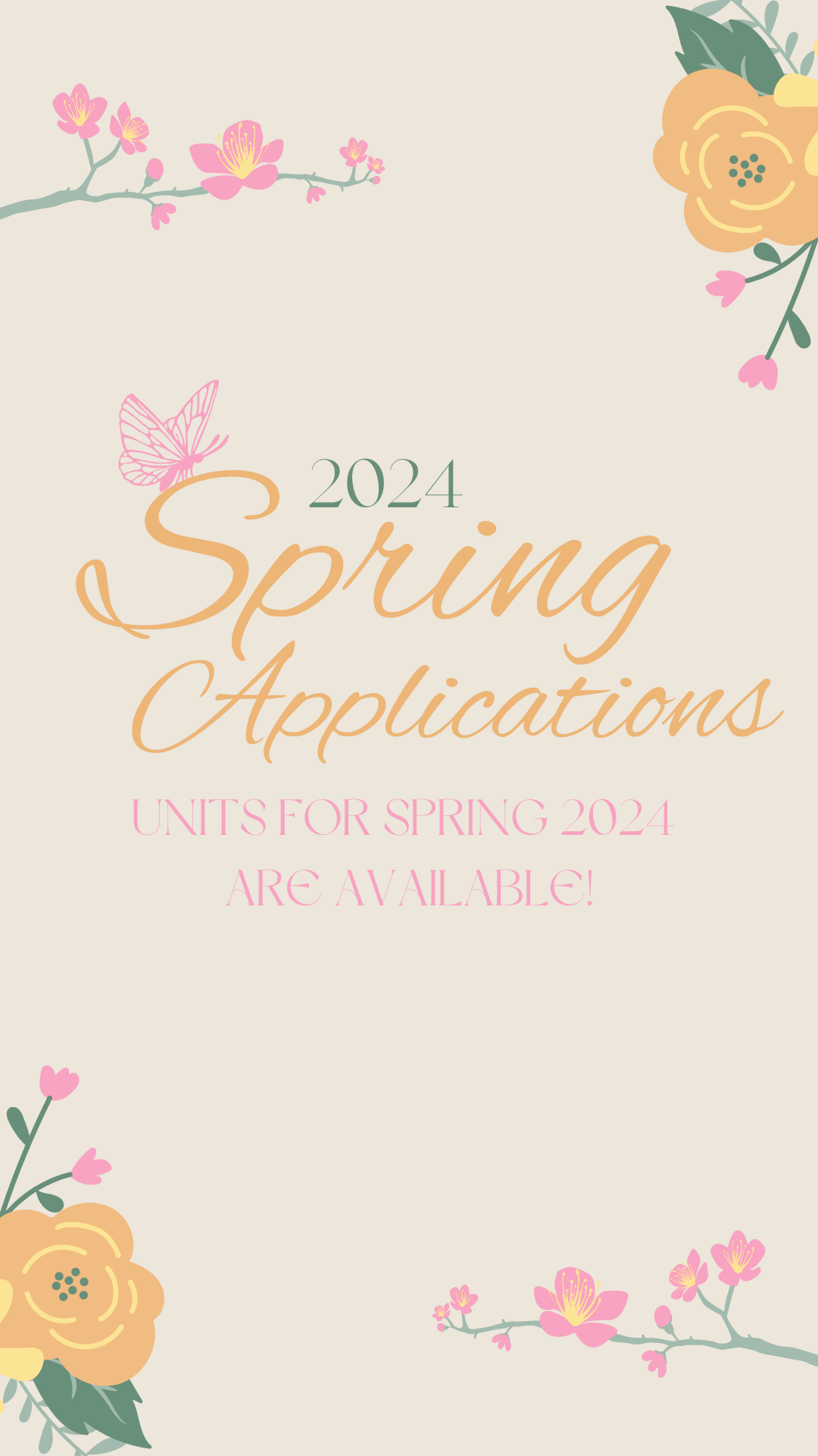 2024 Spring Applications Instagram Story