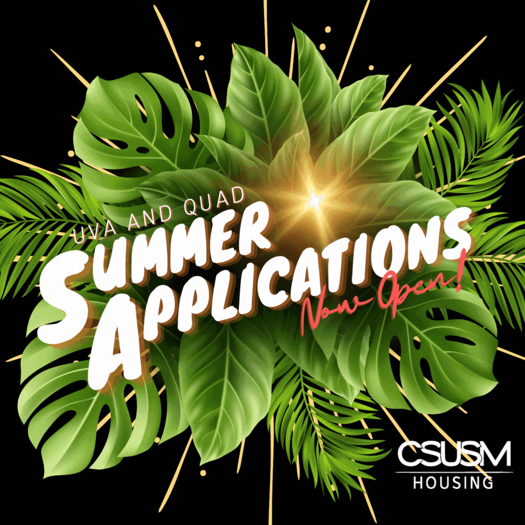 Summer Applications Instagram Post