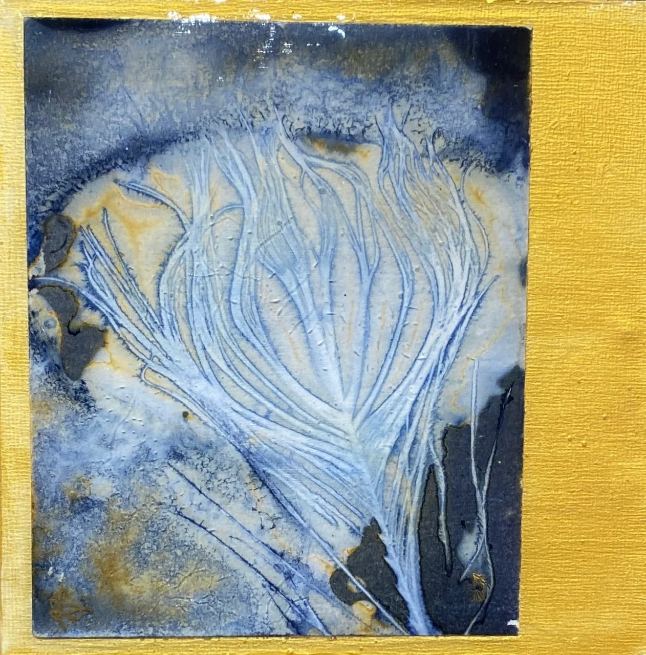 The Light Within . . .