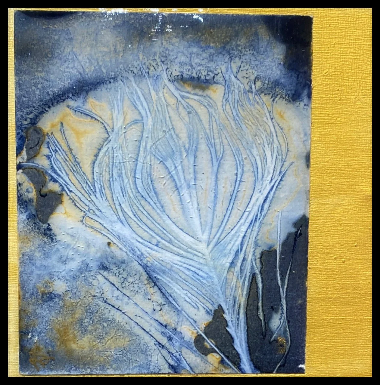 Blue Orchid framed.jpg