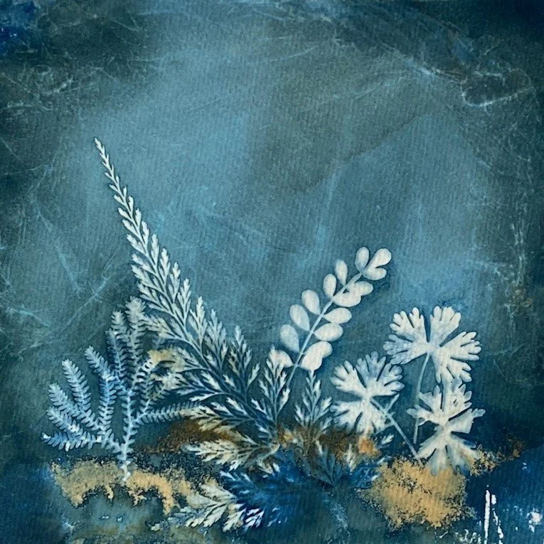 Under the Sea cropped.jpg