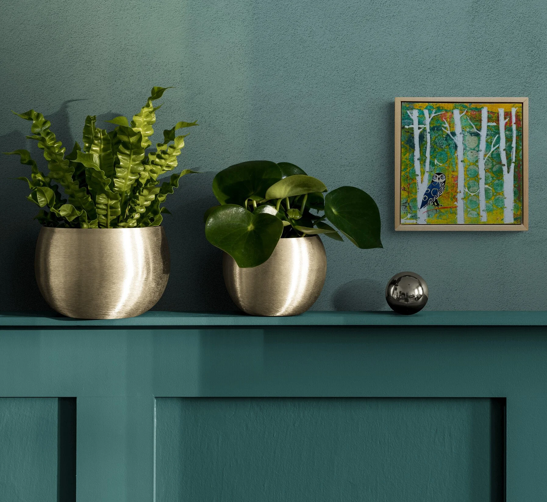 pot-plants-sitting-on-a-wooden-cabinet.jpg