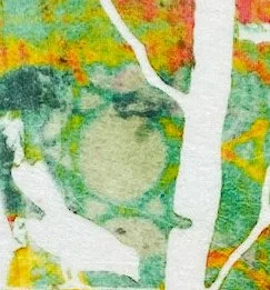 The In-Between edited.jpg