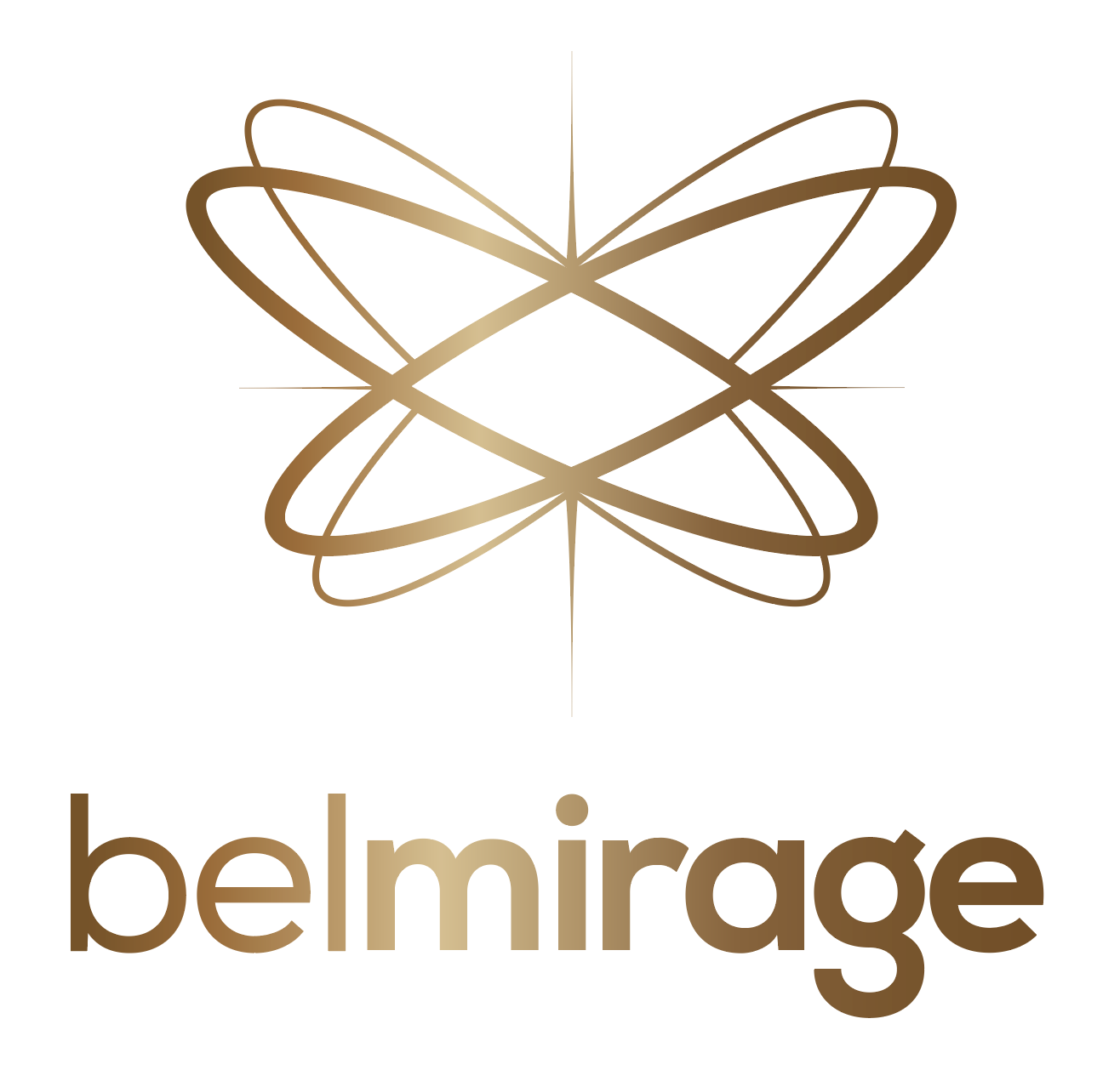 Screen Shot 2023-01-19 at 10.28.03 AM.png