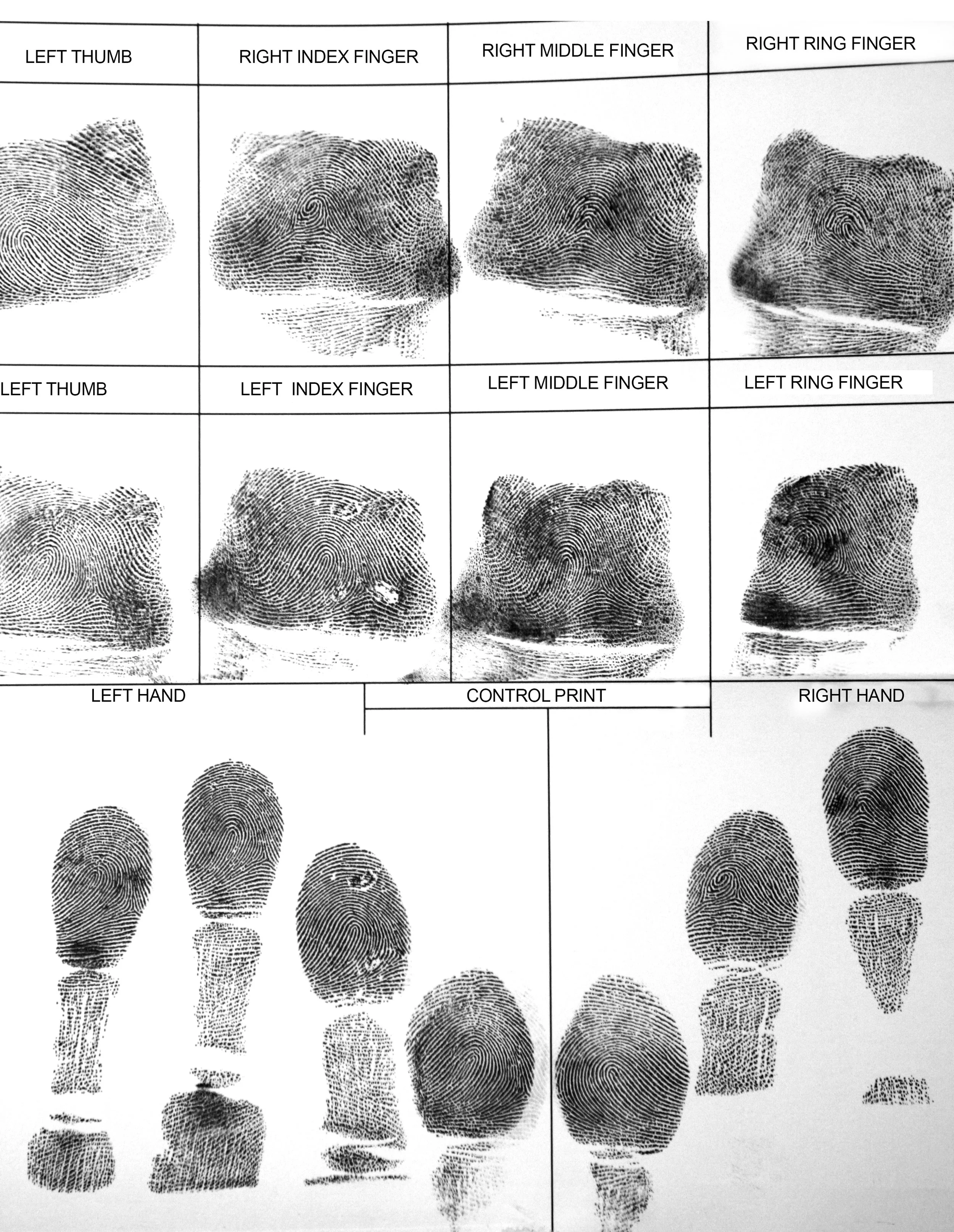 SevvyFingerPrints2.jpg