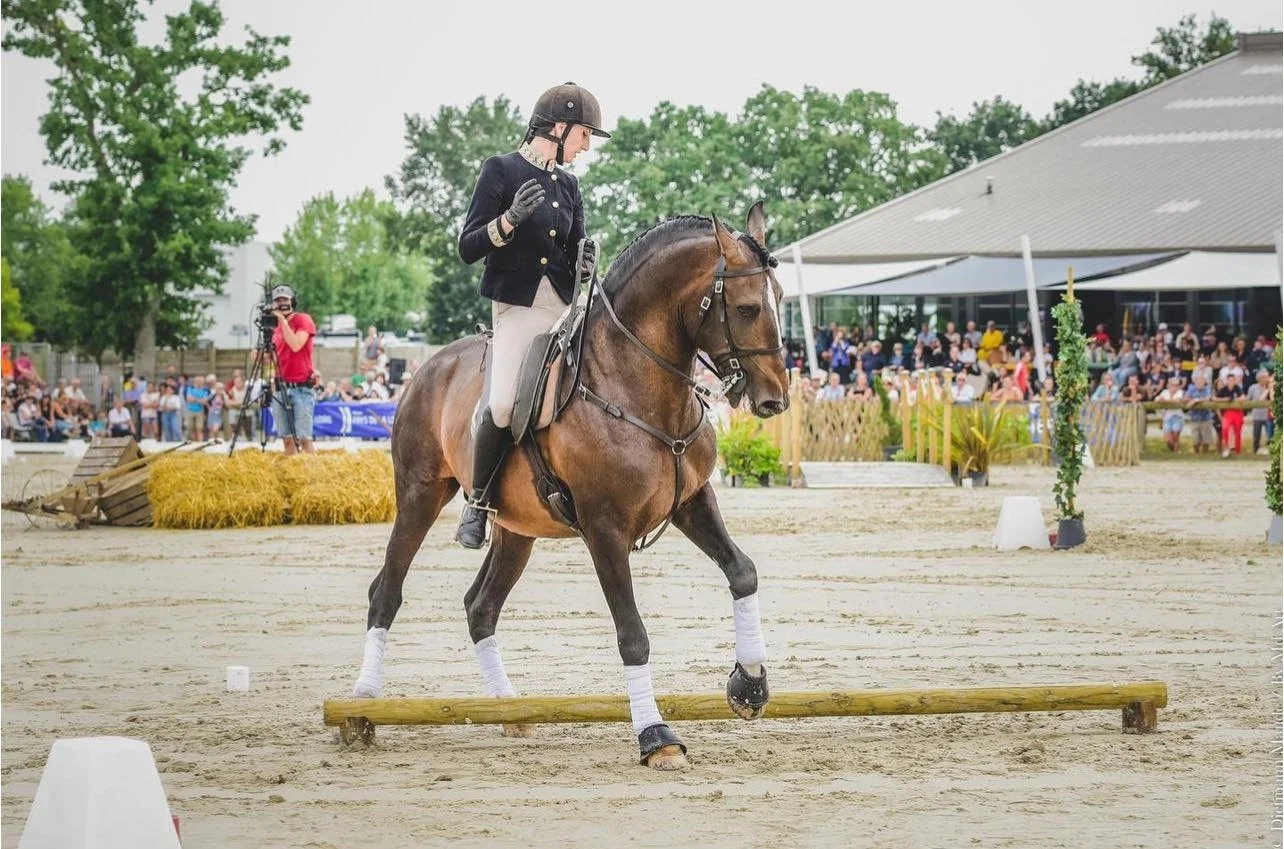 Virginie Dubus- Working Equitation Champion