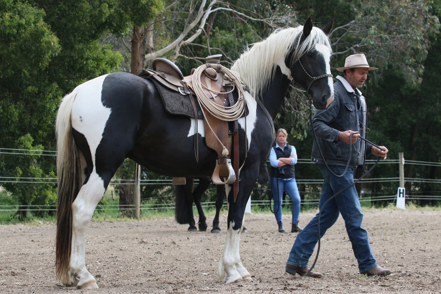 Allan Collett "Horsemanship clinic"