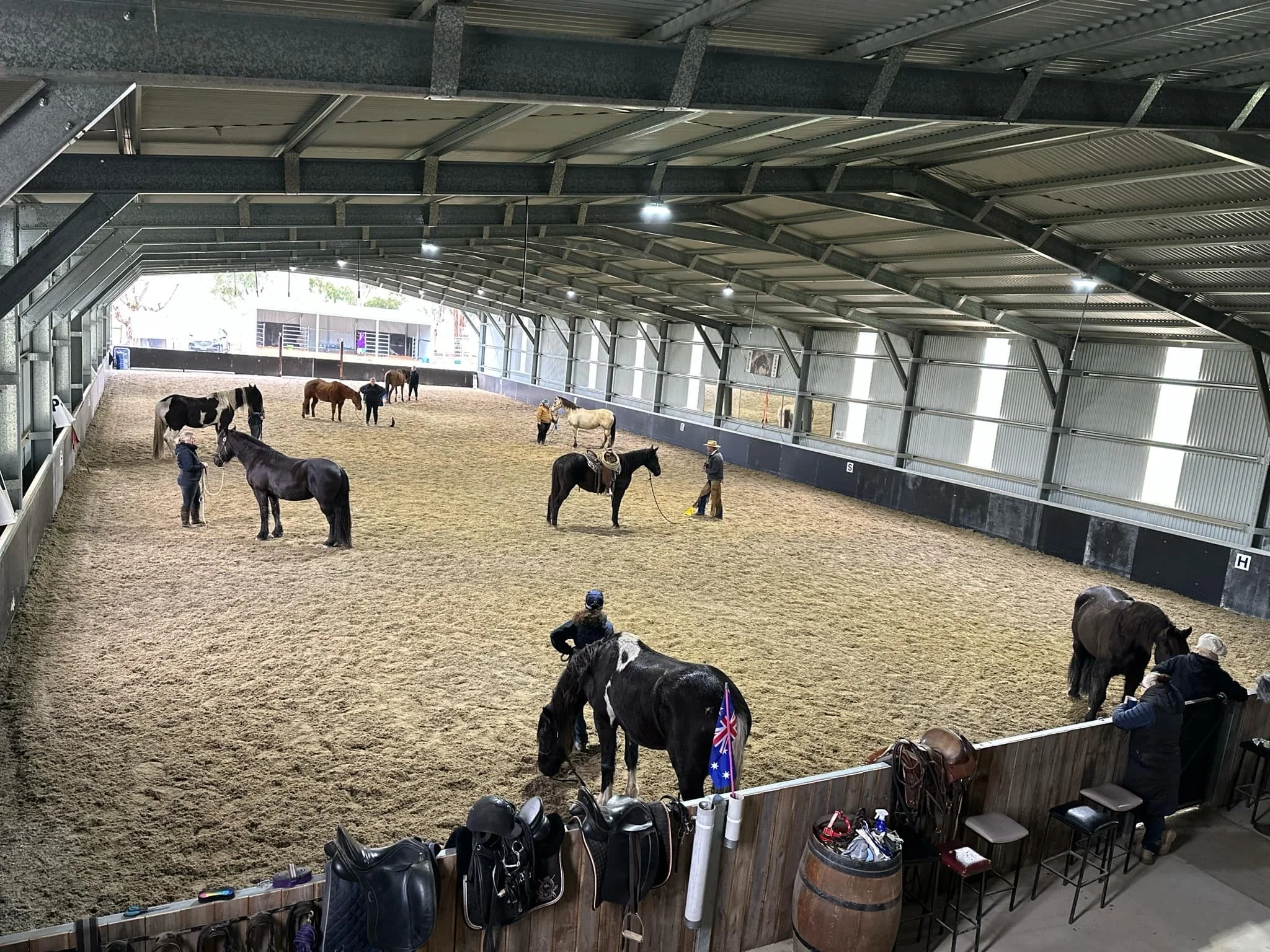 Indoor horse riding arena with several horses and people engaging in activities. Therapy with horses, clinic groundwork, horsemanship