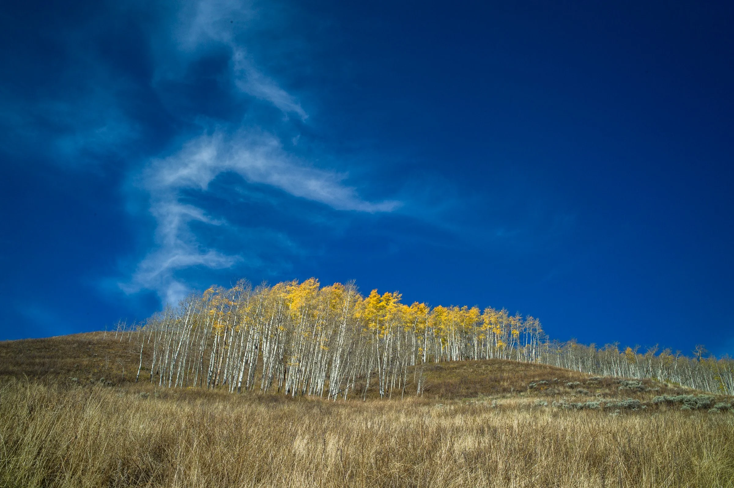AllenPalmer_West-02.jpg