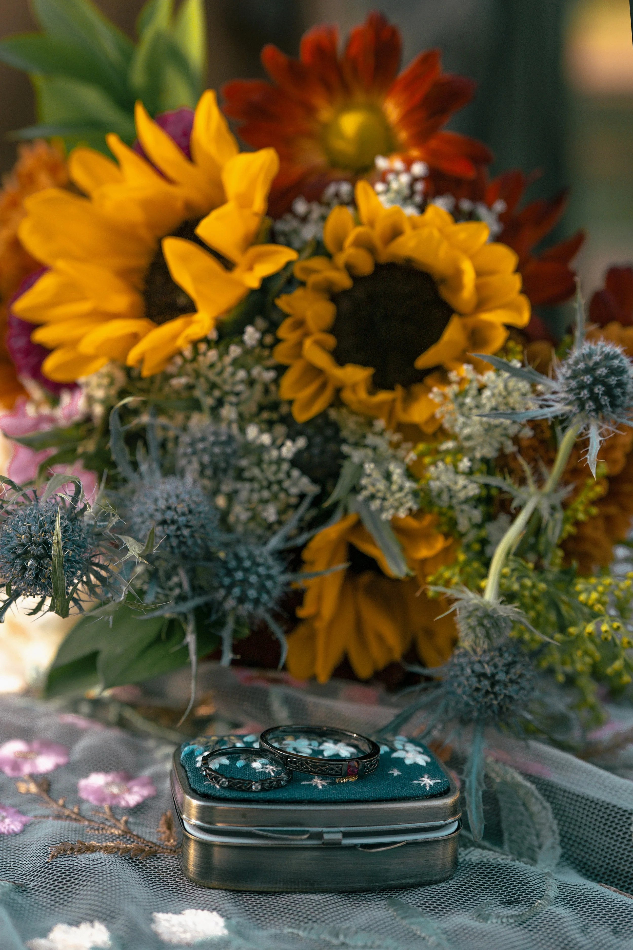 DSC07770.jpg