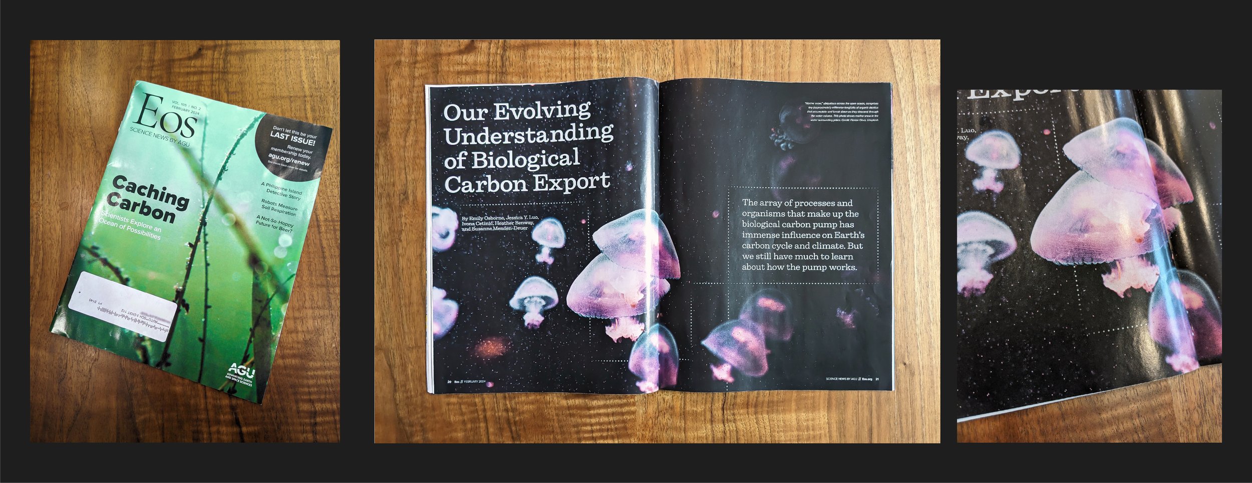 Designed cover and inside spread of the featured article for award-winning science magazine, Eos.
