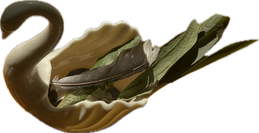 swan_longpause.png