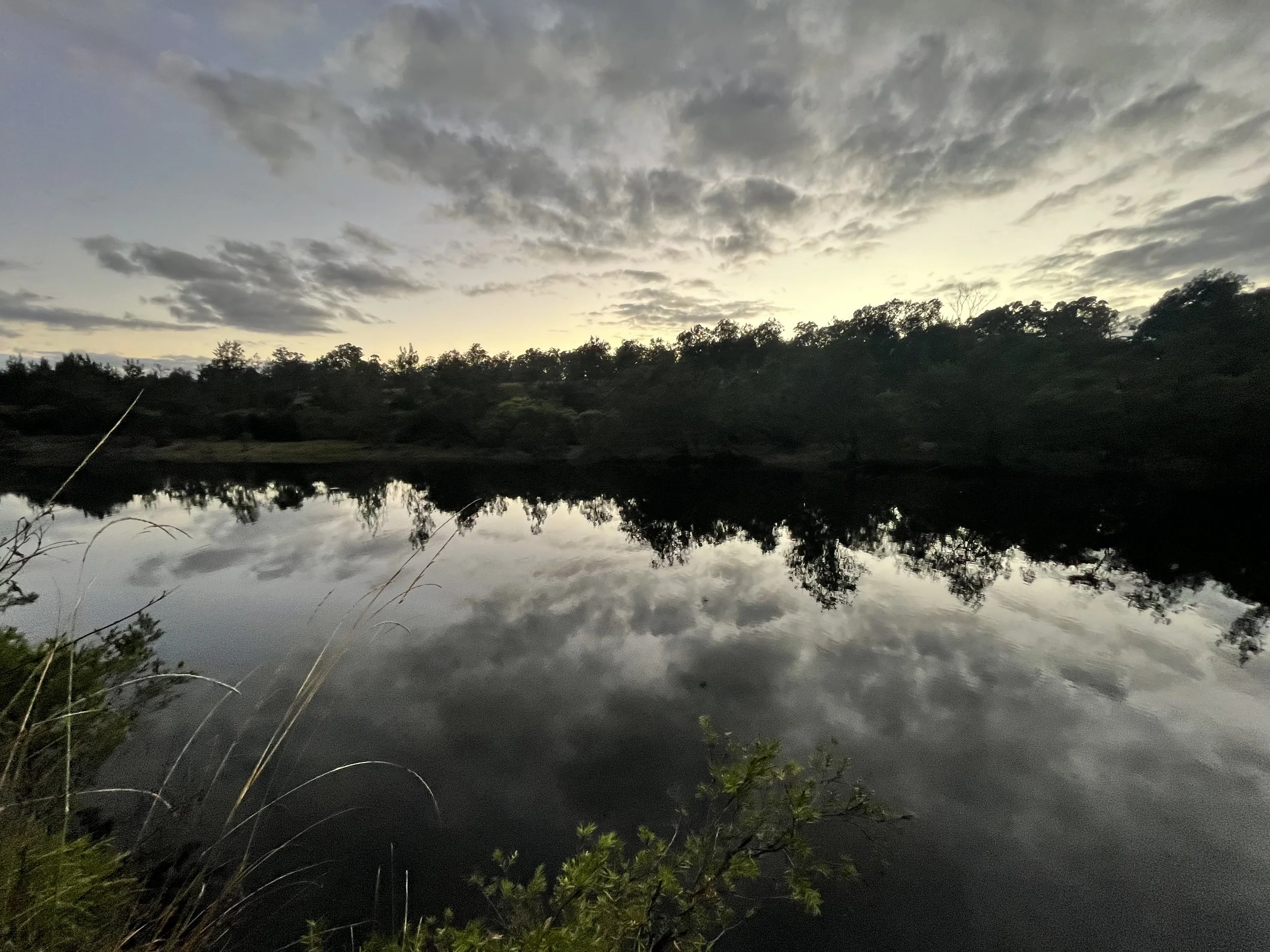 February 2026 NC&amp;C Newsletter