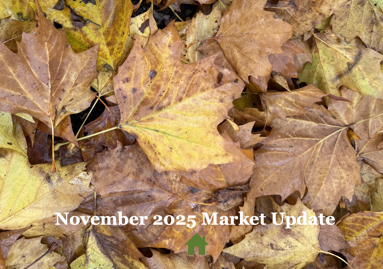November 2025 Market Update