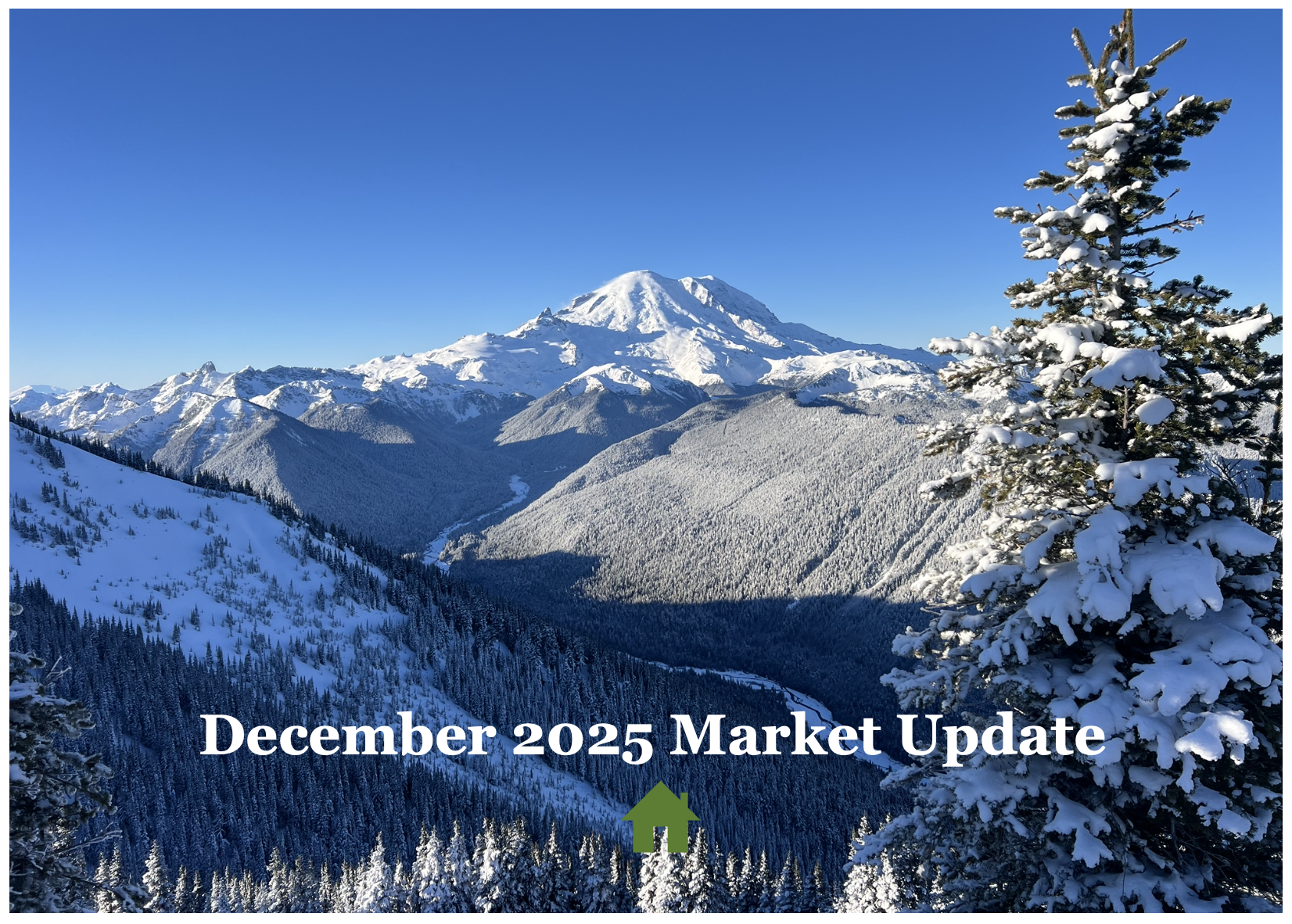 December 2025 Market Update