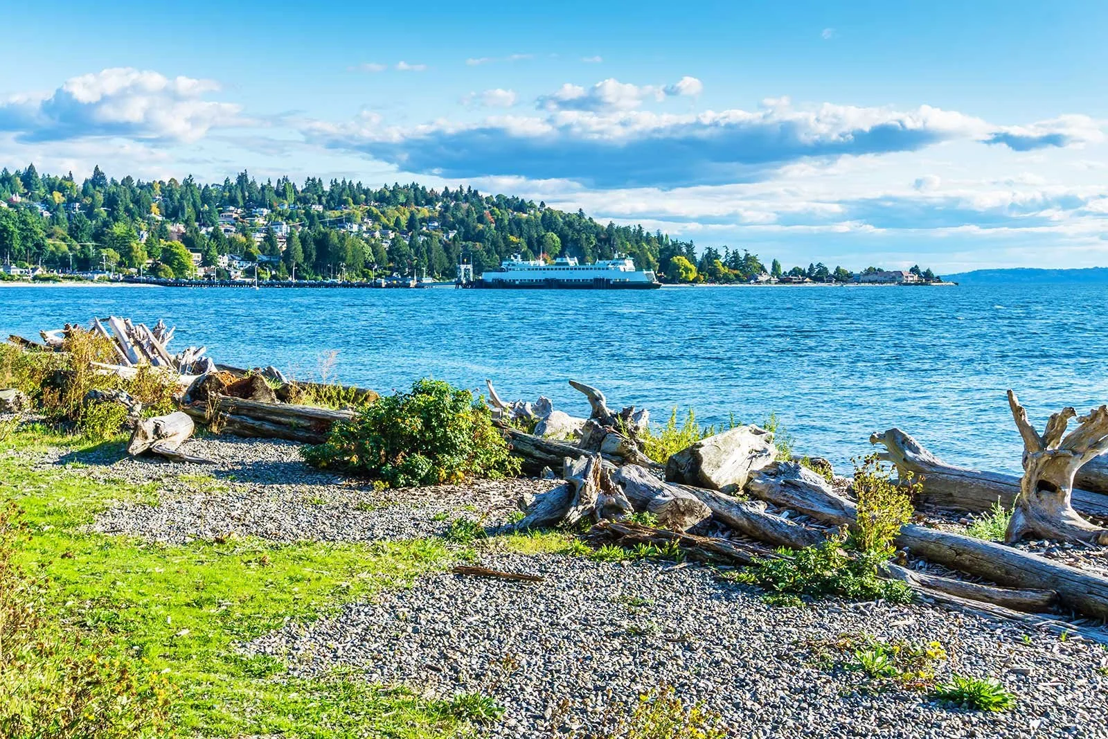 West Seattle Realty