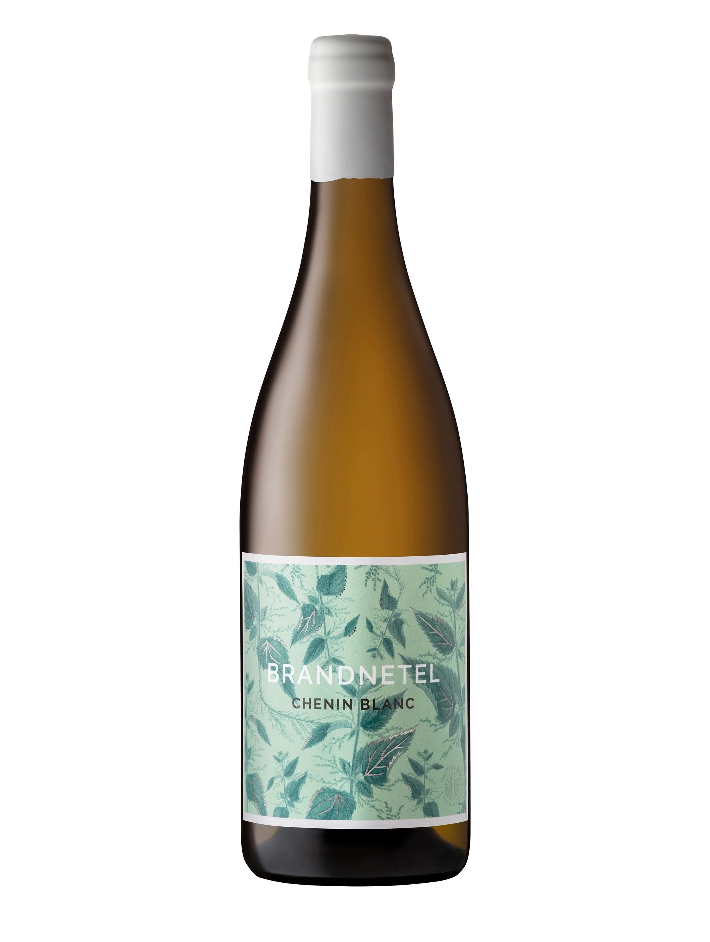 Brandnetel - (Urtica dioica, Stinging nettle) is steeped in dualities: both fierce and
soft; painful and restorative; tenacious yet humble. It brings magic to fairytales
and vitality to soils. Inspired by these dualities, this unique Chenin Blanc re