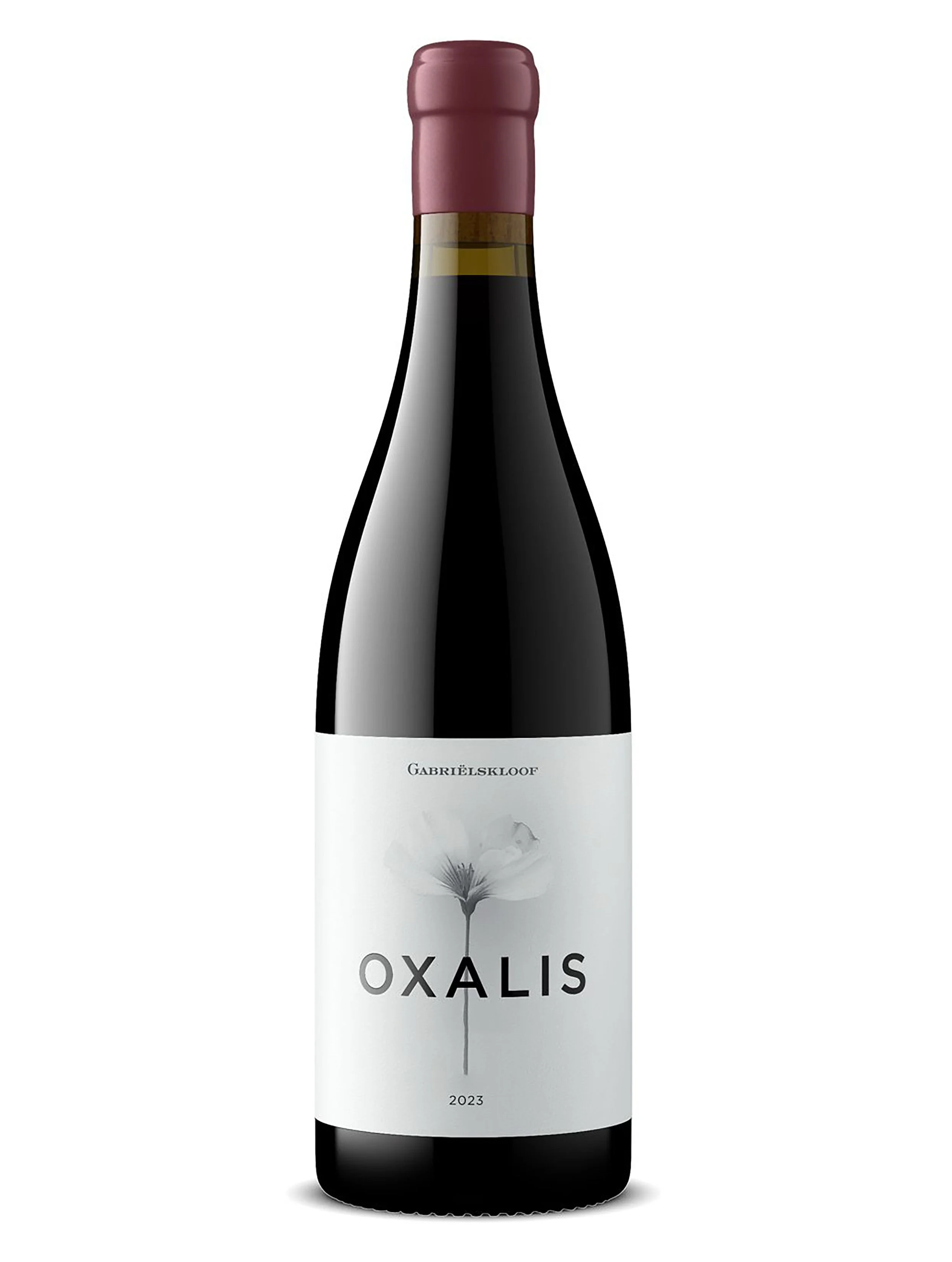 Gabrielskloof - Oxalis Syrah Coming soon to Jones & Co. 