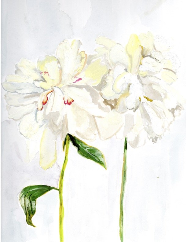 "Peony for Baby O"