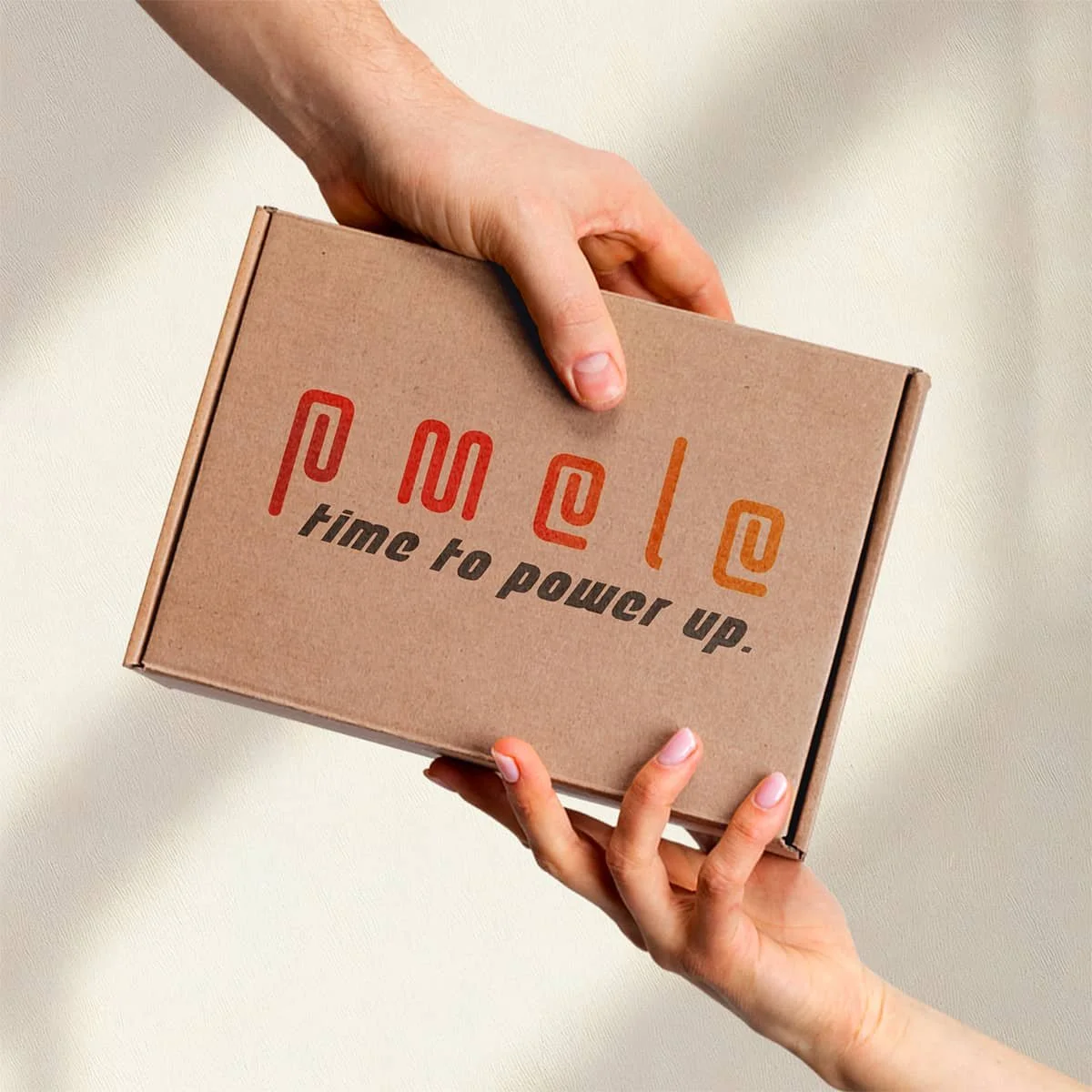%22Pmele%22 Kraft Mailer Box.jpg