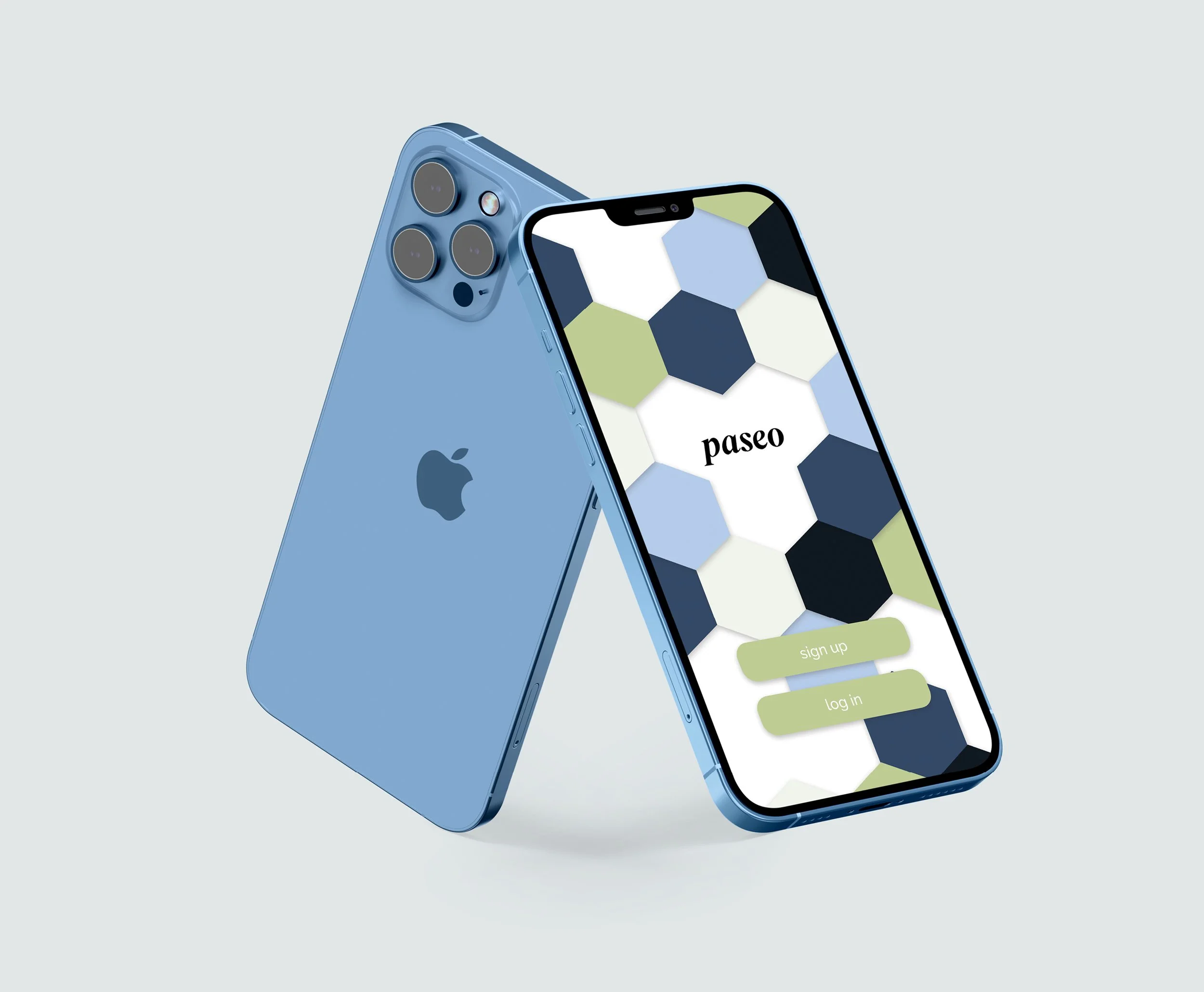 Paseo Booklet.311.jpg