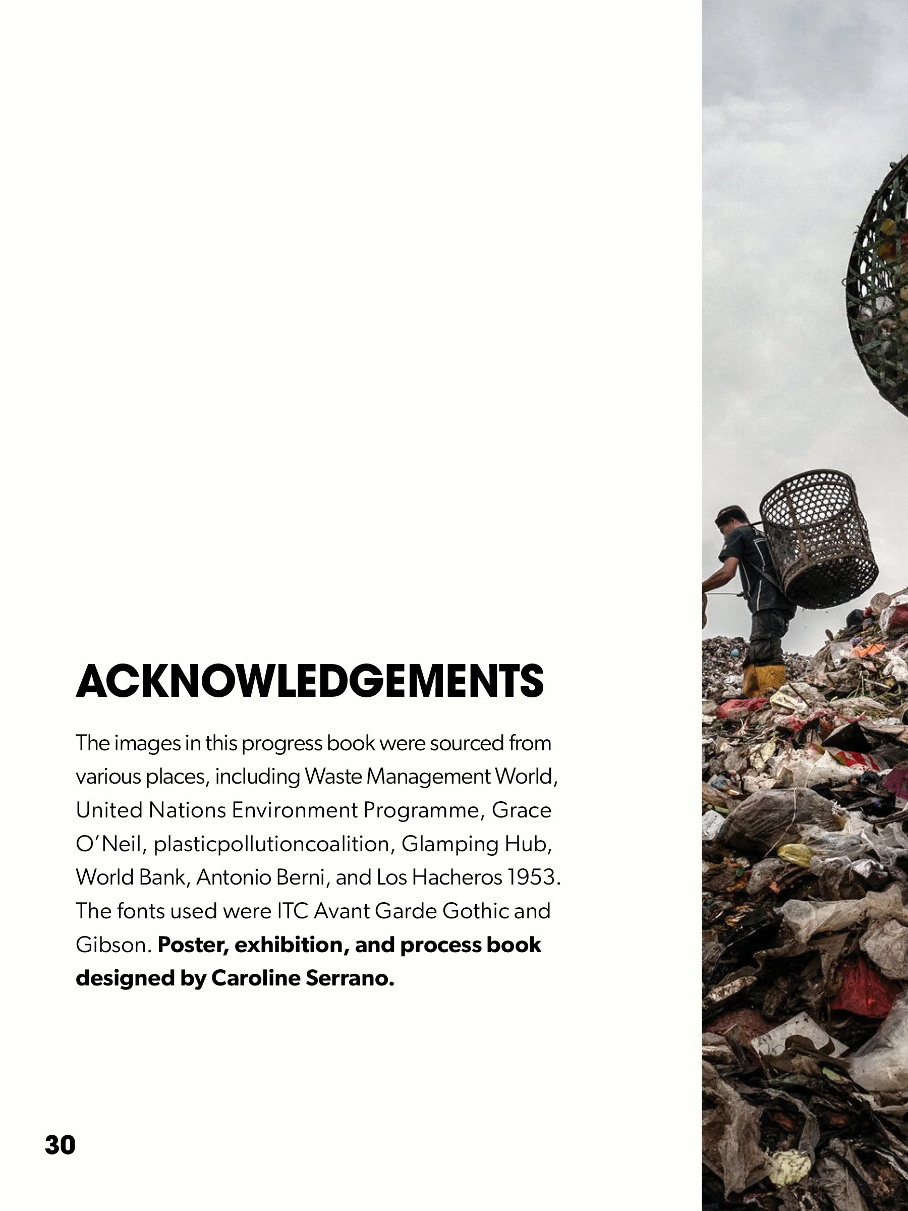 Capstone Midterm Project30.jpg