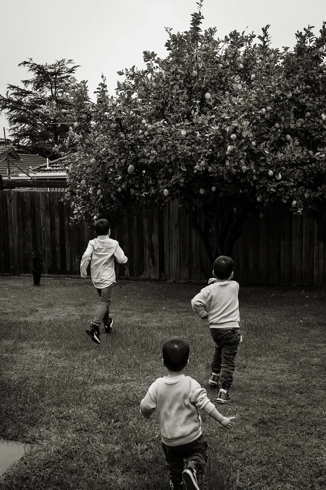 Michelle Family Photos-165.jpg