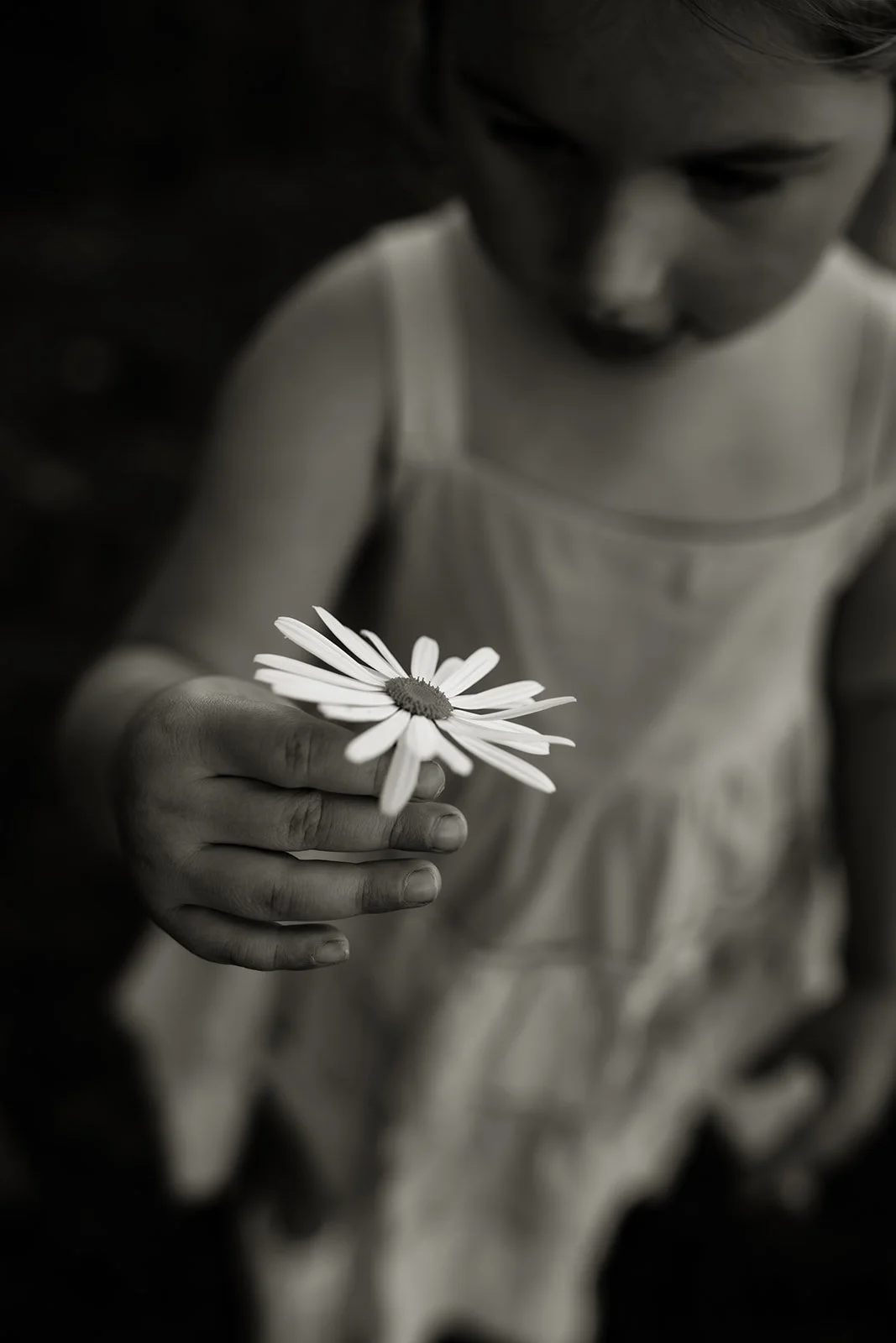 Kacey Family Photos-2025-16.jpg