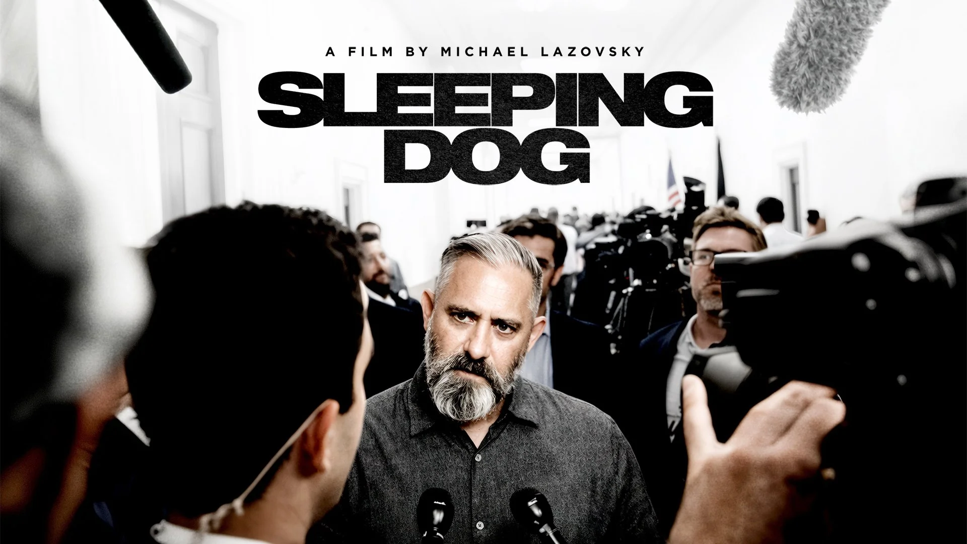 SLEEPING DOG