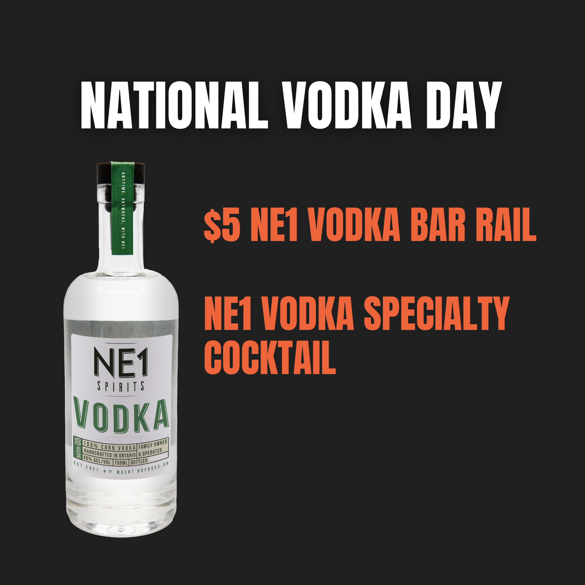 National Vodka Day