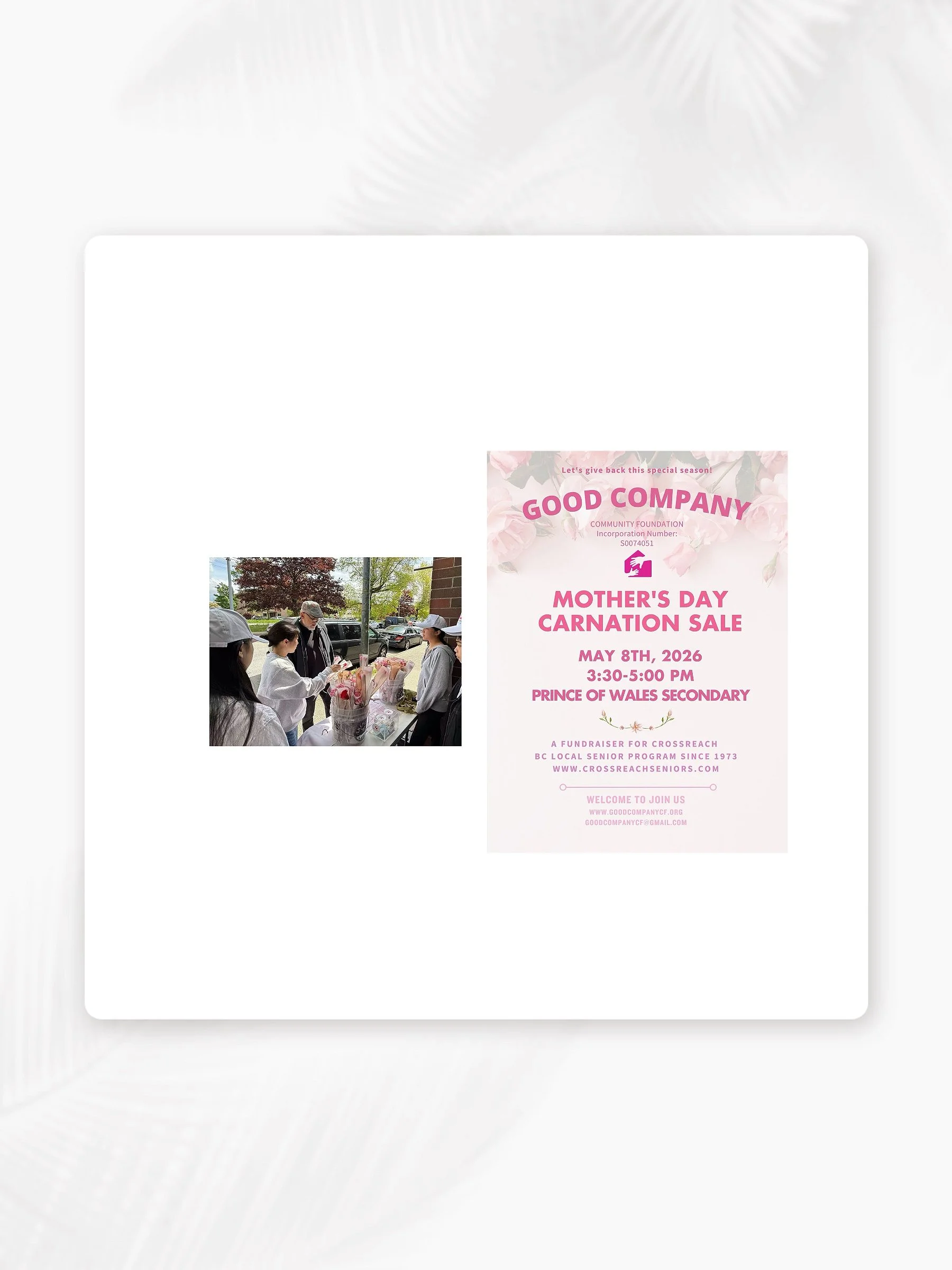 Mother's Day Carnation Sale