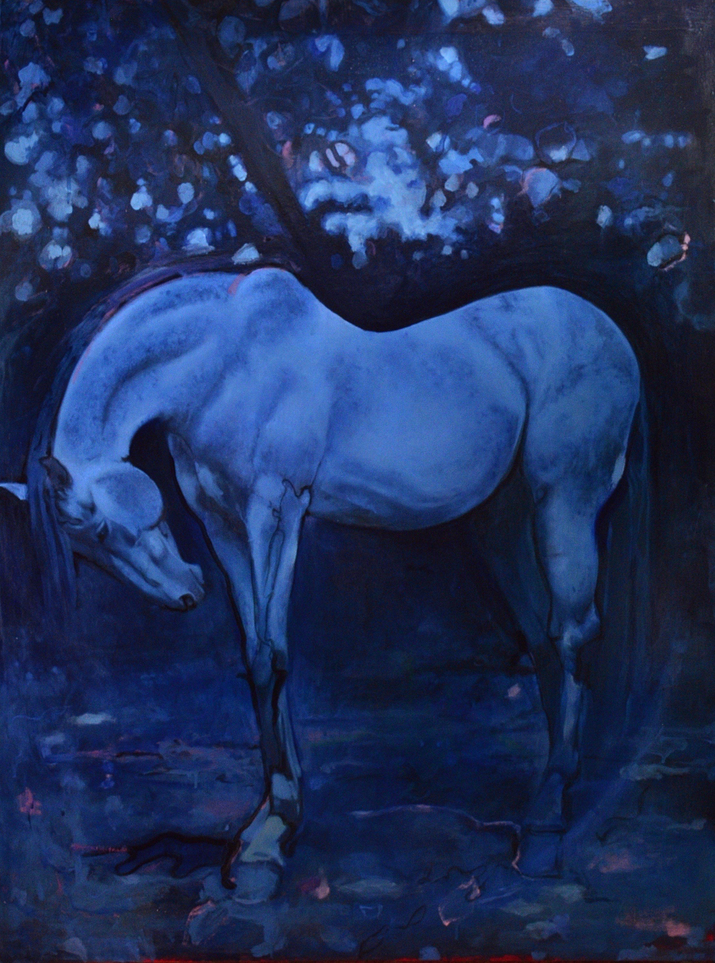 Blue Horse /
36x48 inches /
Oil paint on wood panel /
contact A Gallery/Allen+Alan Fine Art SLC