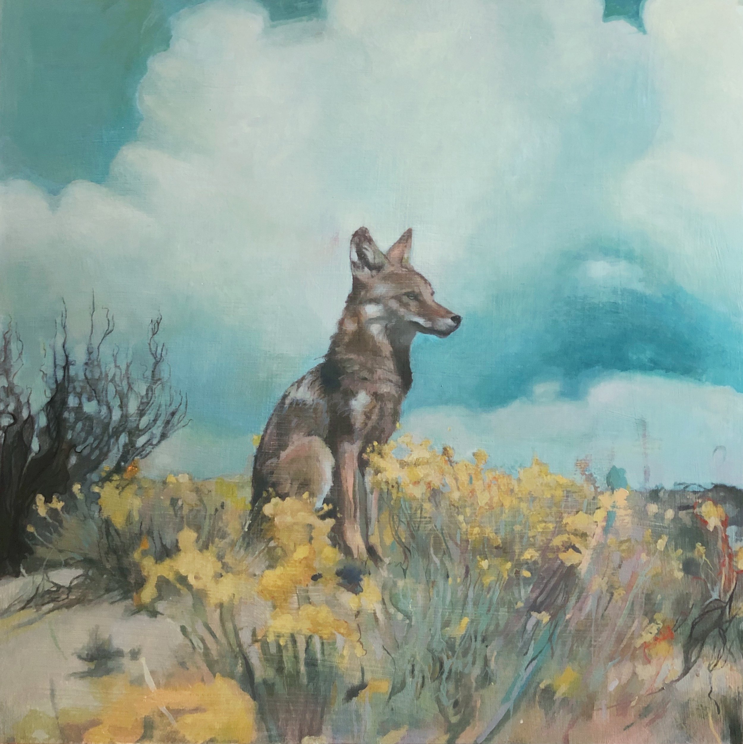 Coyote /
24x24 inches /
Oil paint on wood panel
/ (unavailable))