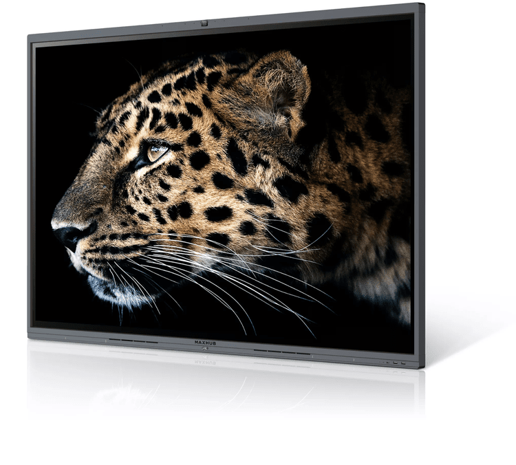 Maxhub Interactive Displays in Dubai, Abu Dhabi, UAE | Collaborative ...